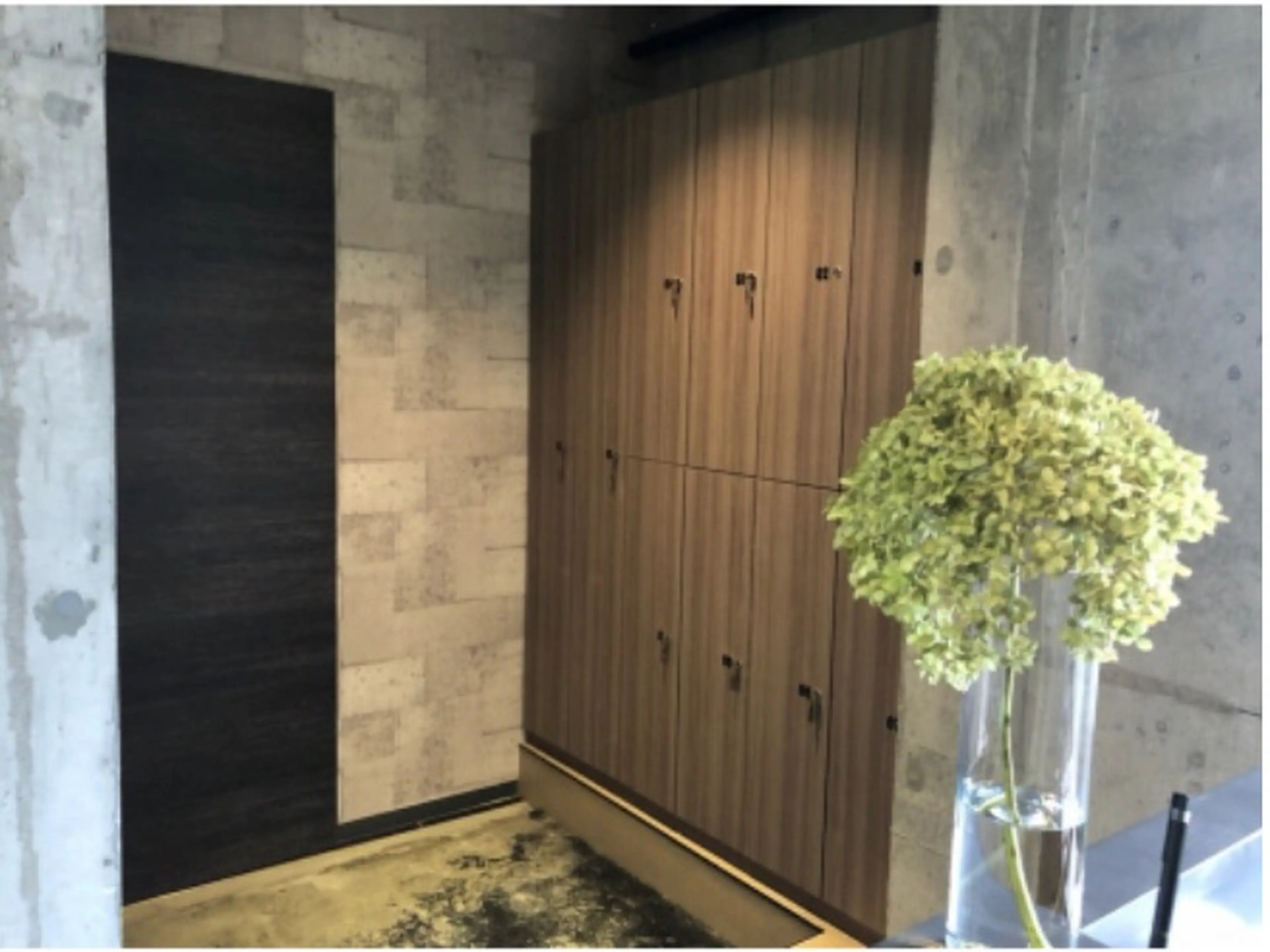 Menonの内観・外観1