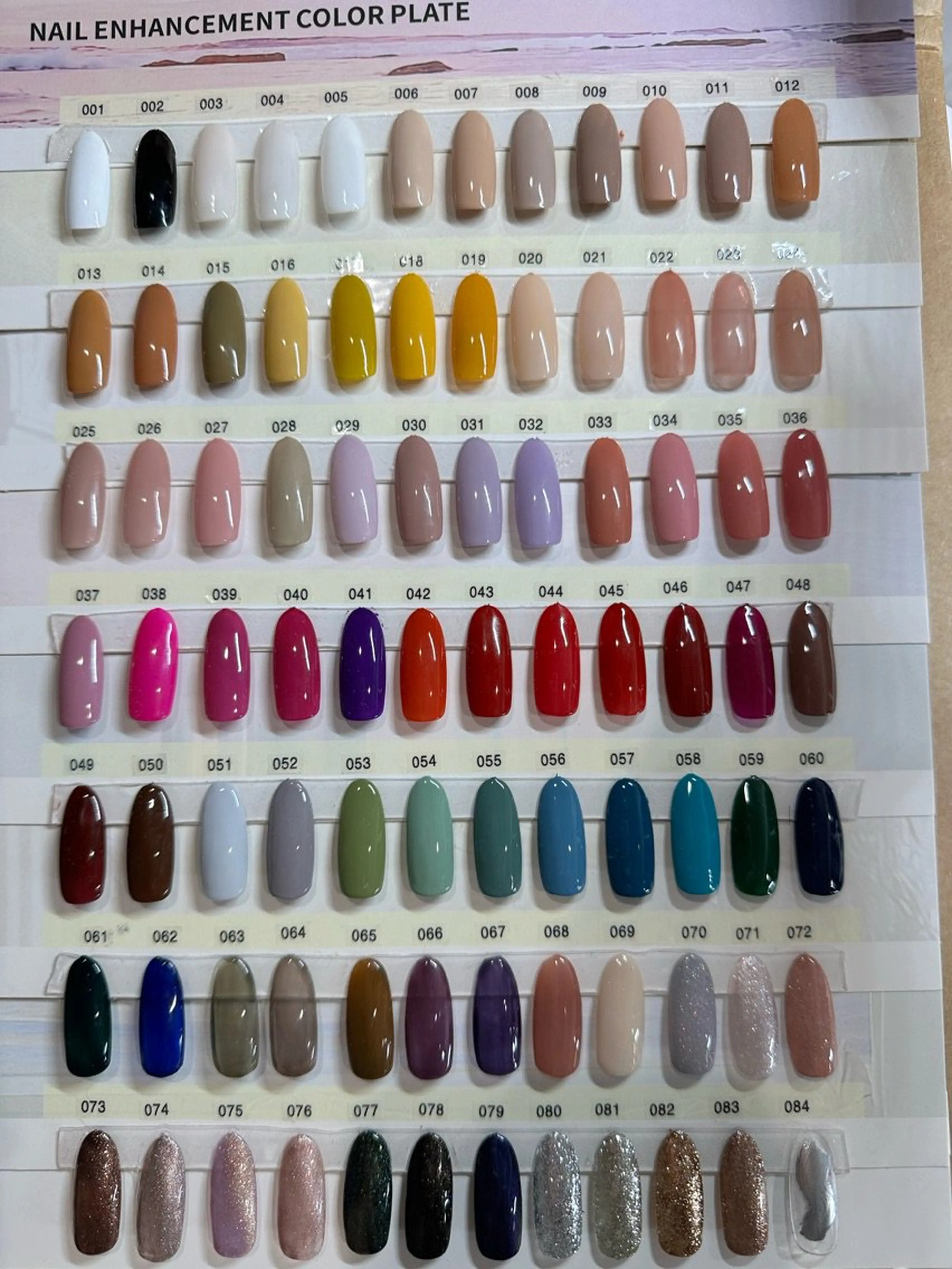 ミドリの内観・外観2