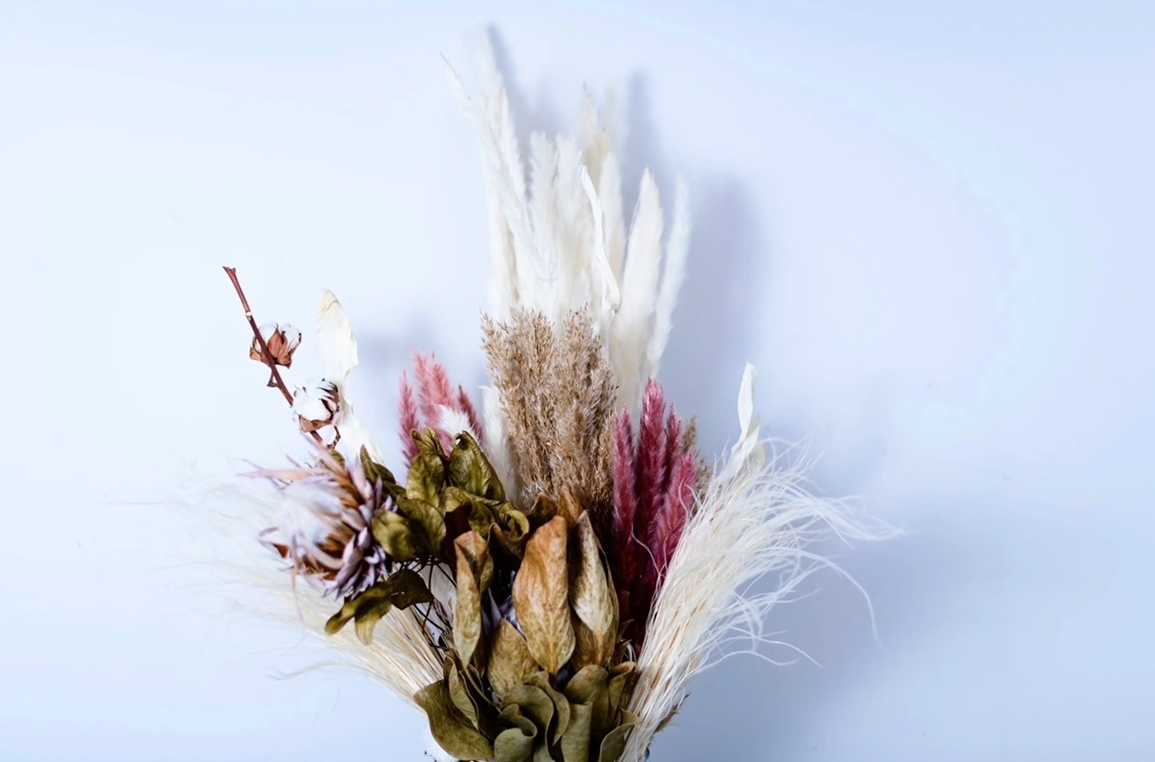 Whiteの内観・外観2