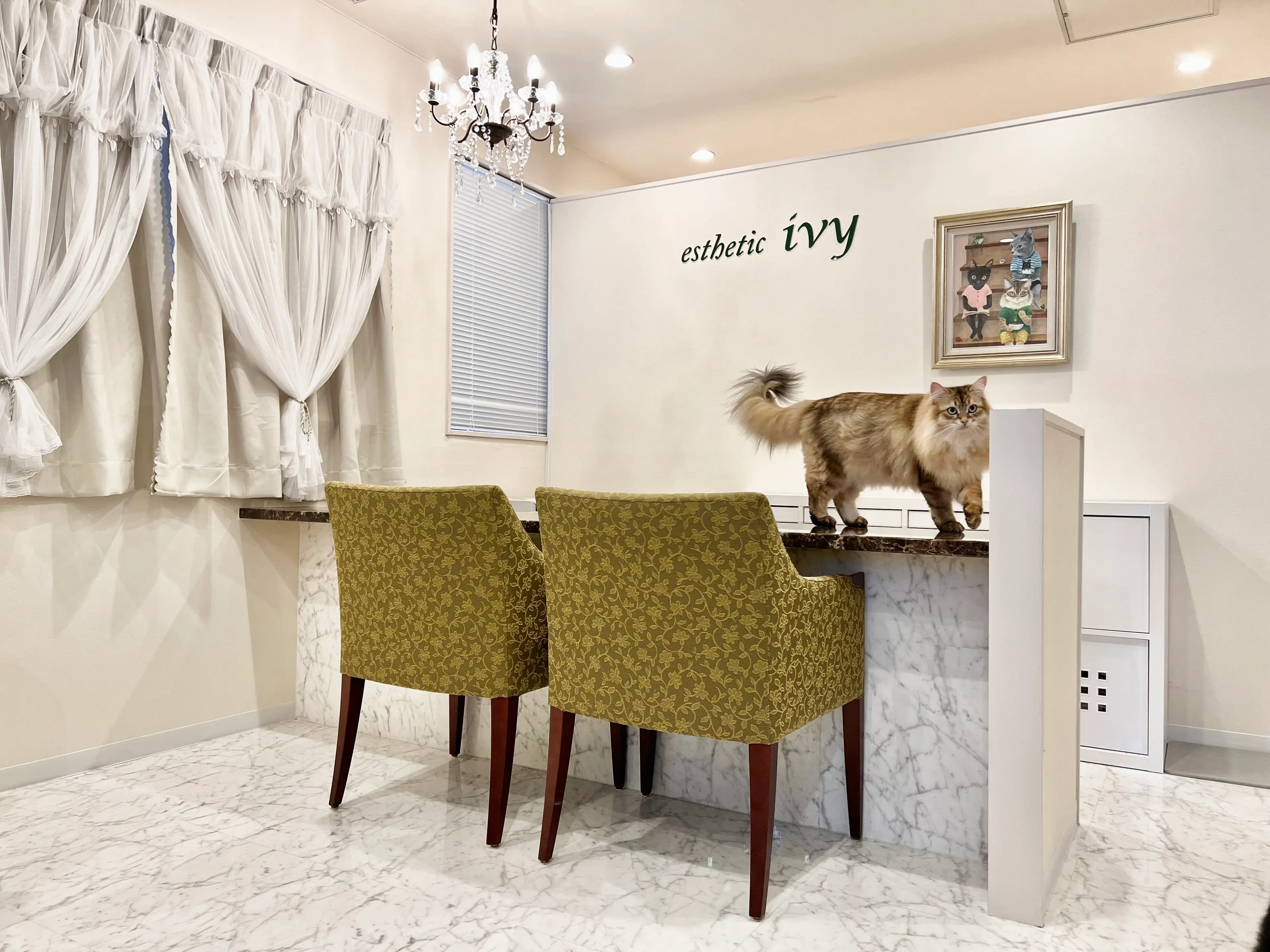 エステティックivyの内観・外観1