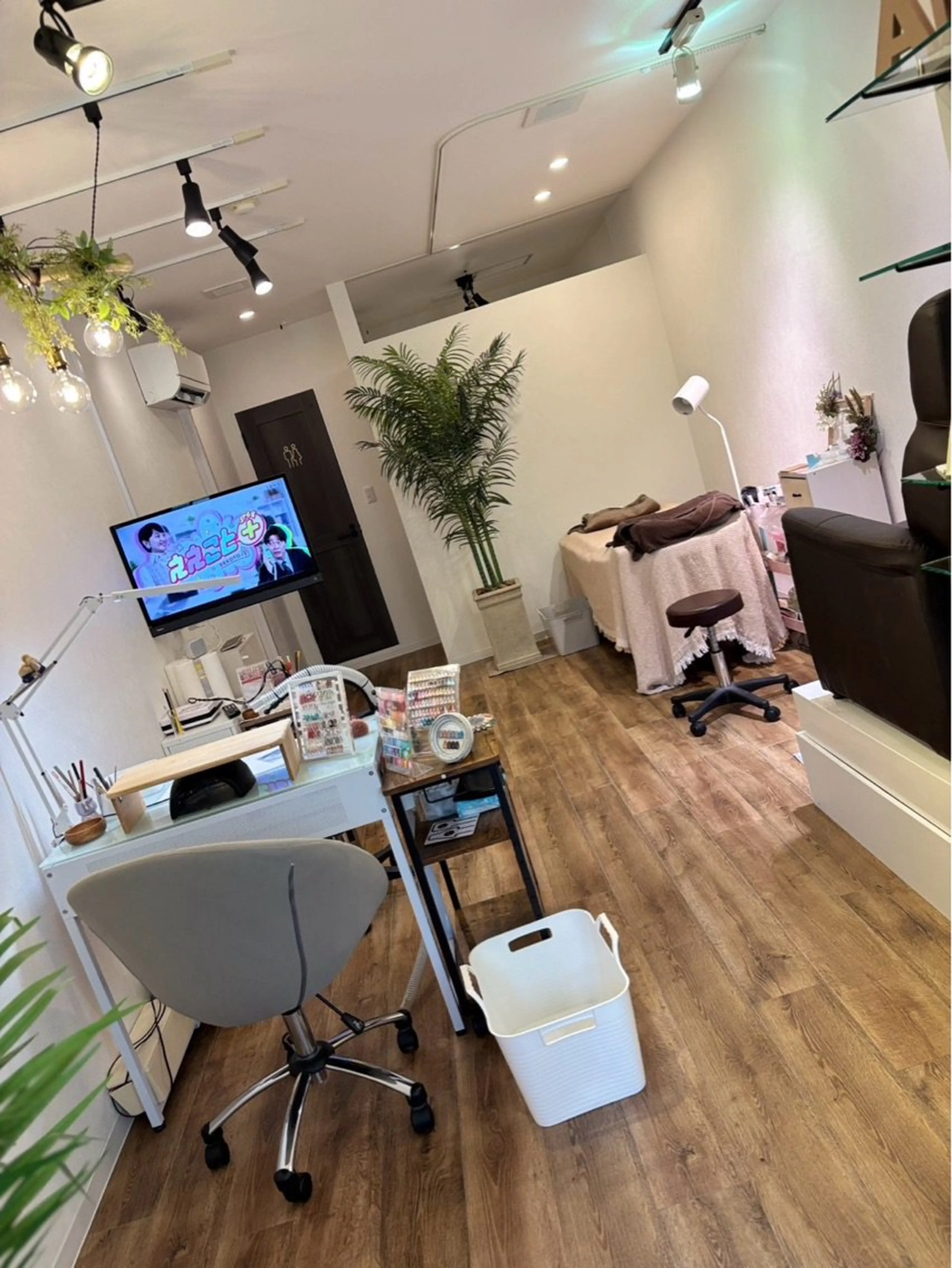 Amelia*の内観・外観2