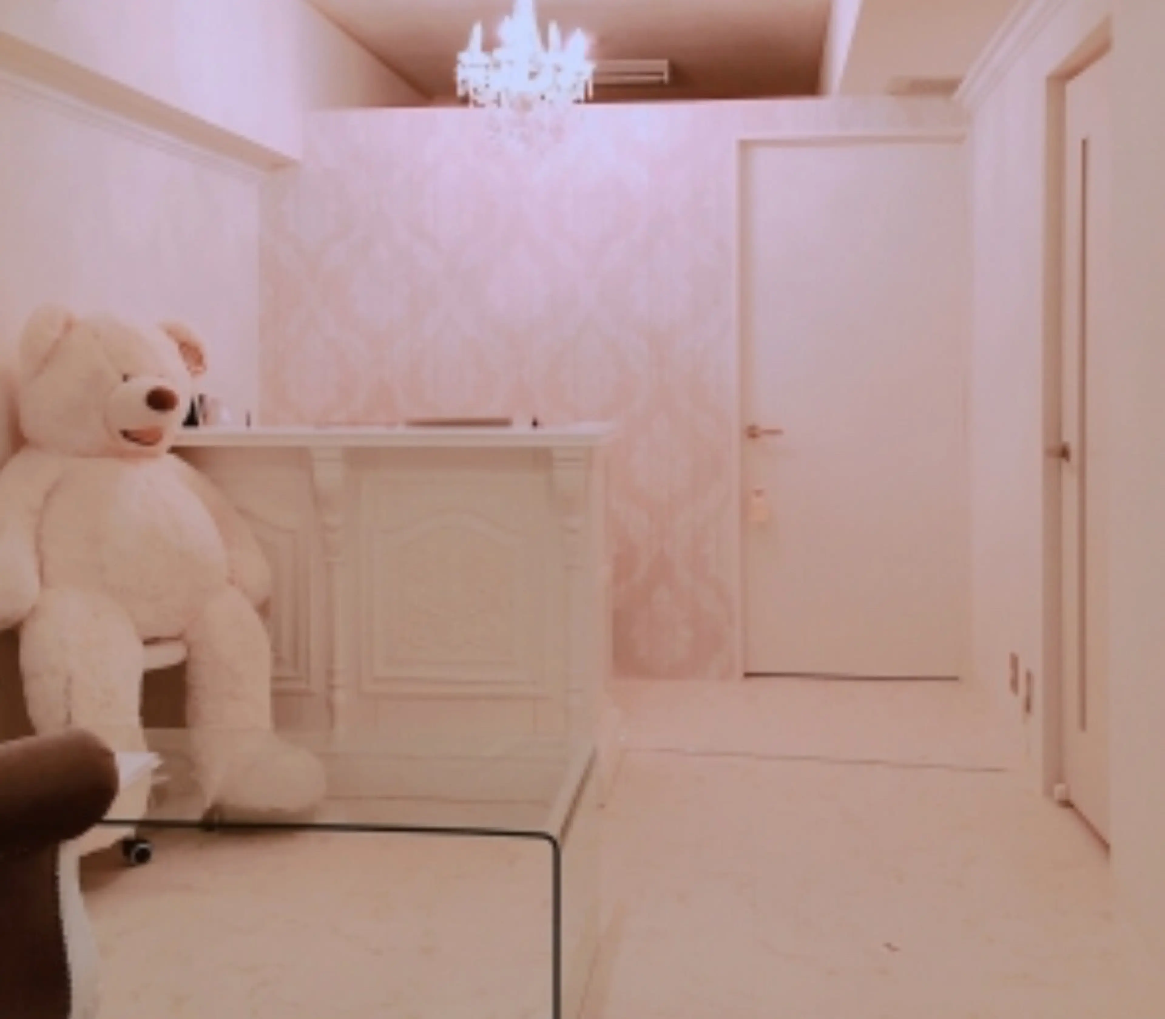 venusヴィーナスの内観・外観1