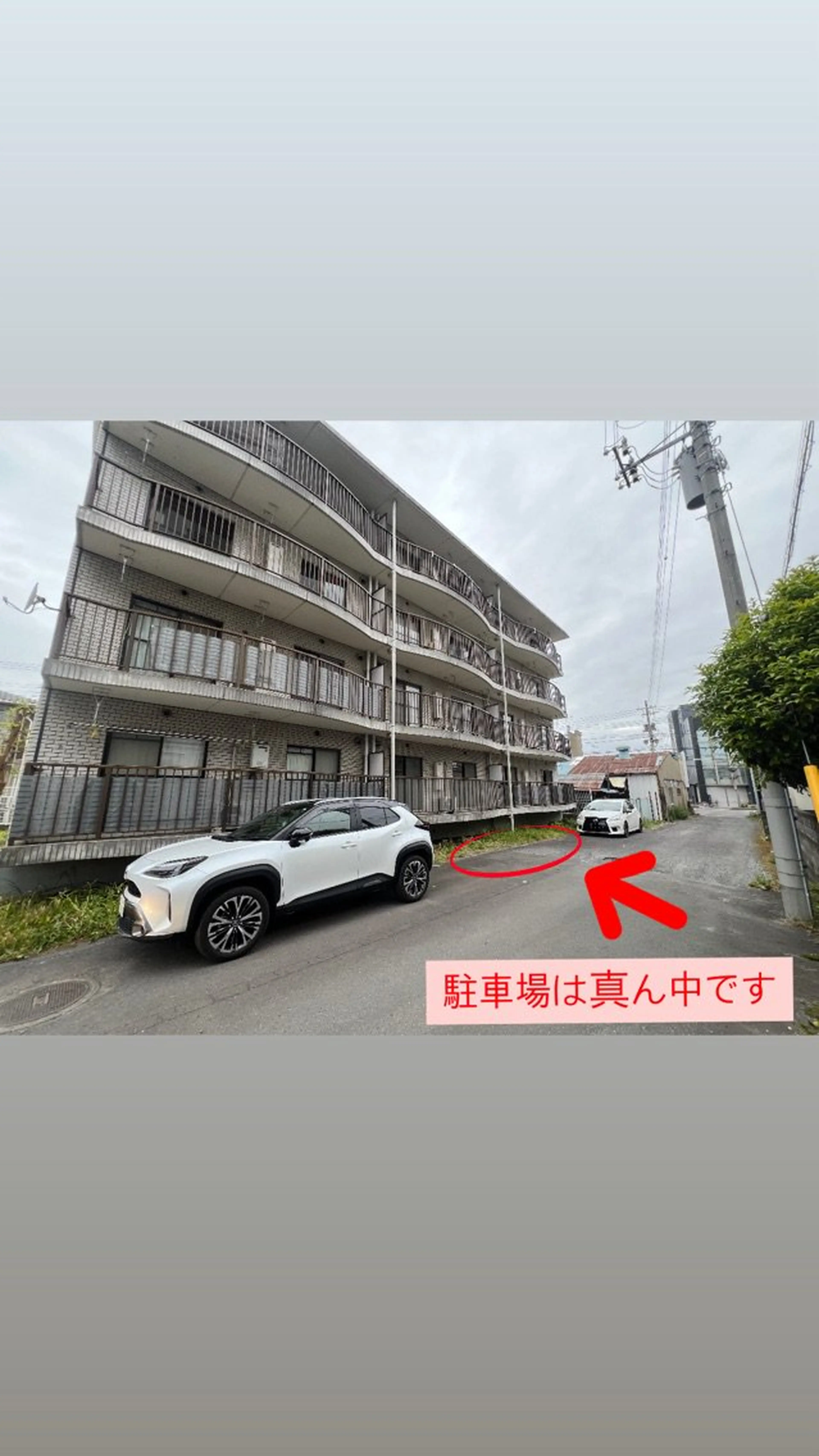 B_Milaの内観・外観1