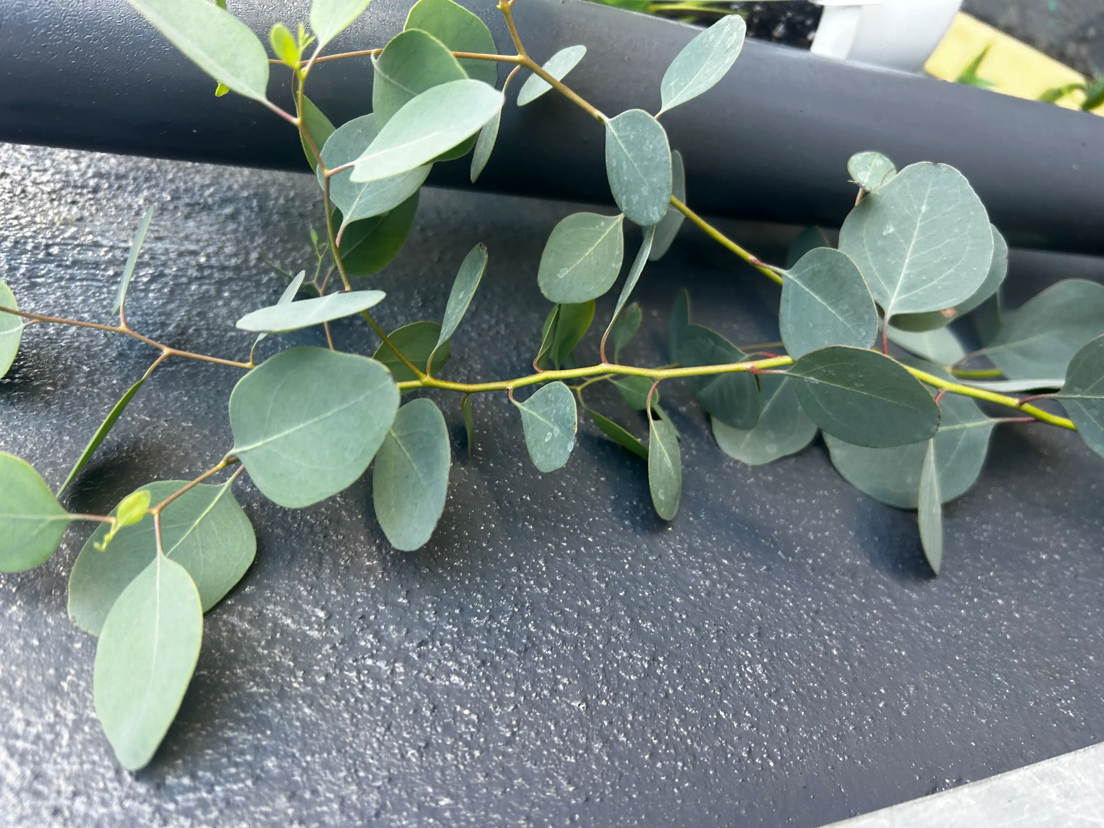 肌育専門SOLA＋の内観・外観3