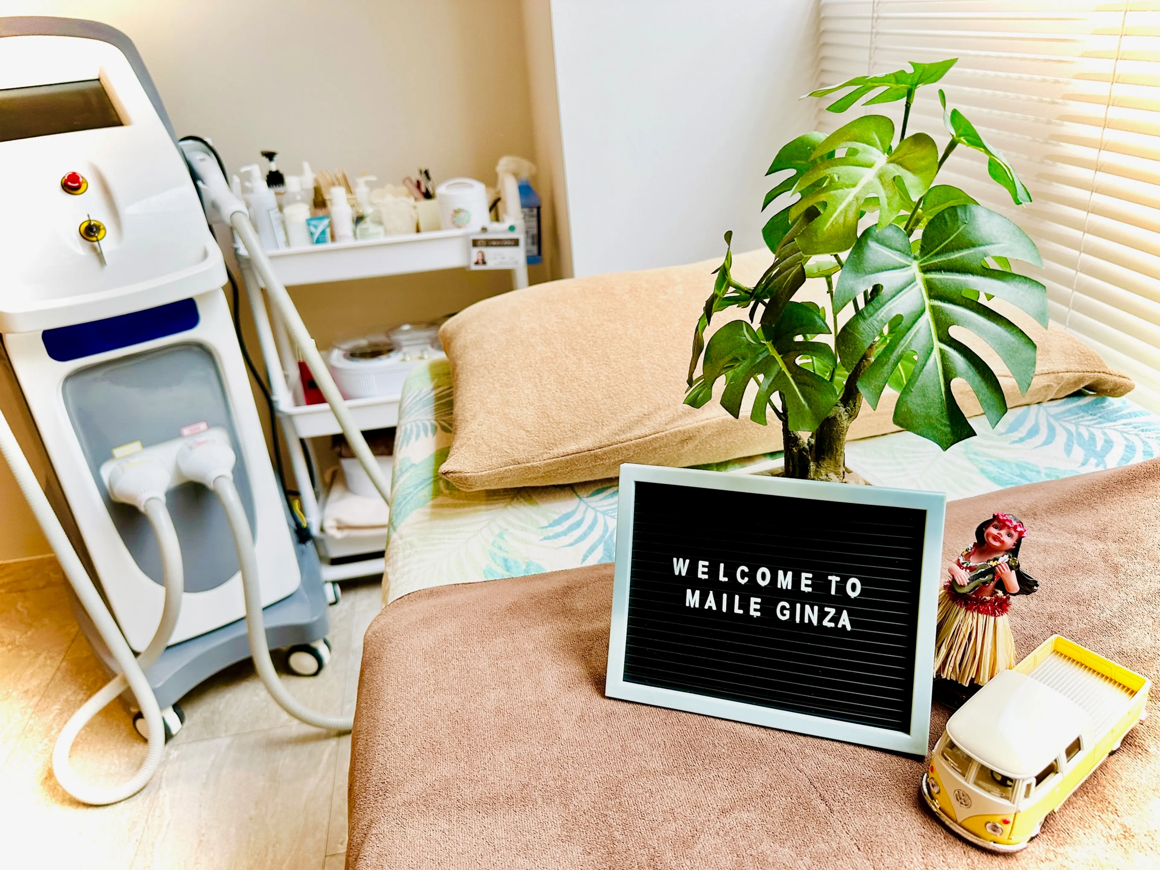 MAILE GINZAの内観・外観1