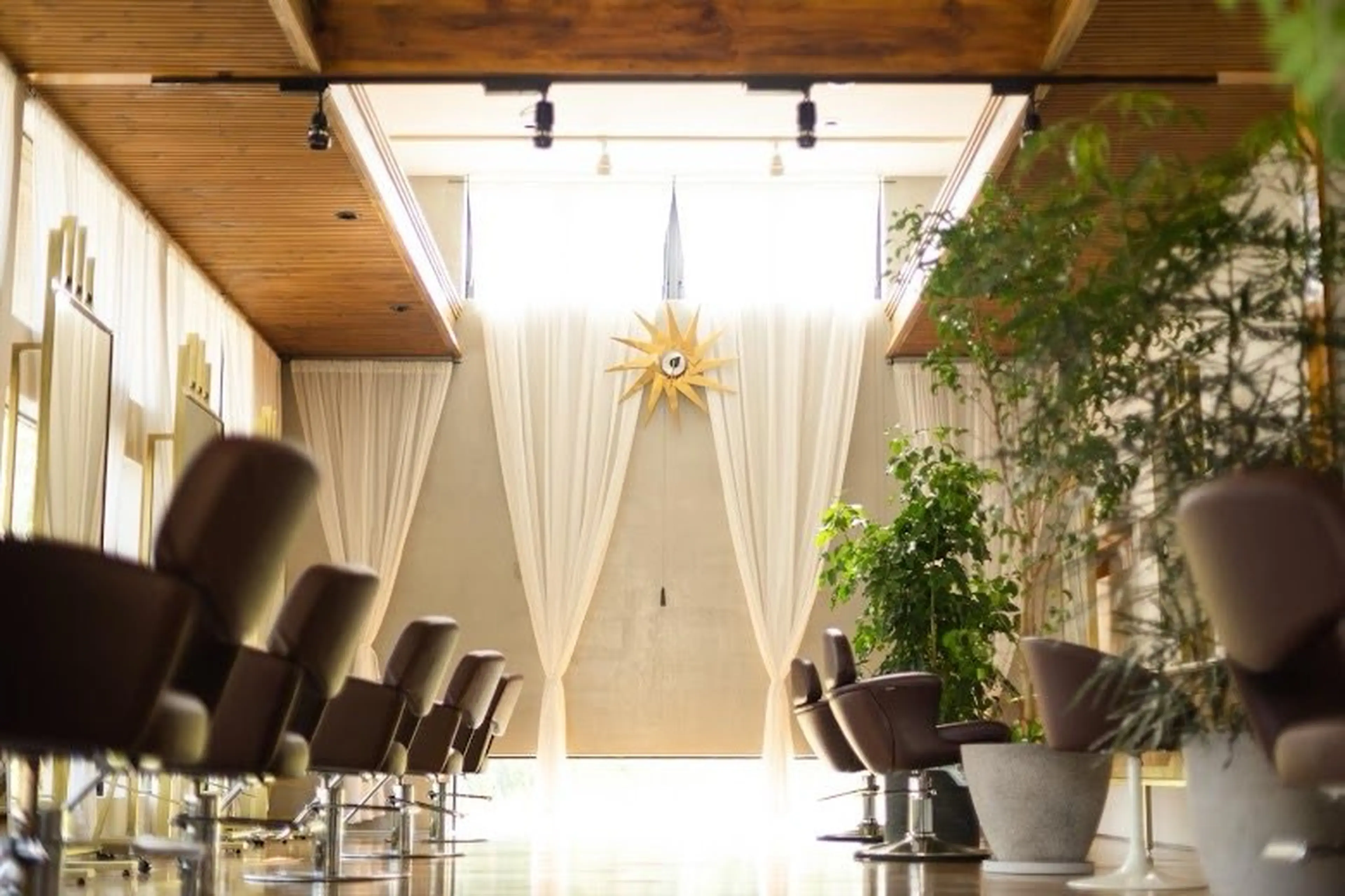 Lapis tosakiの内観・外観1