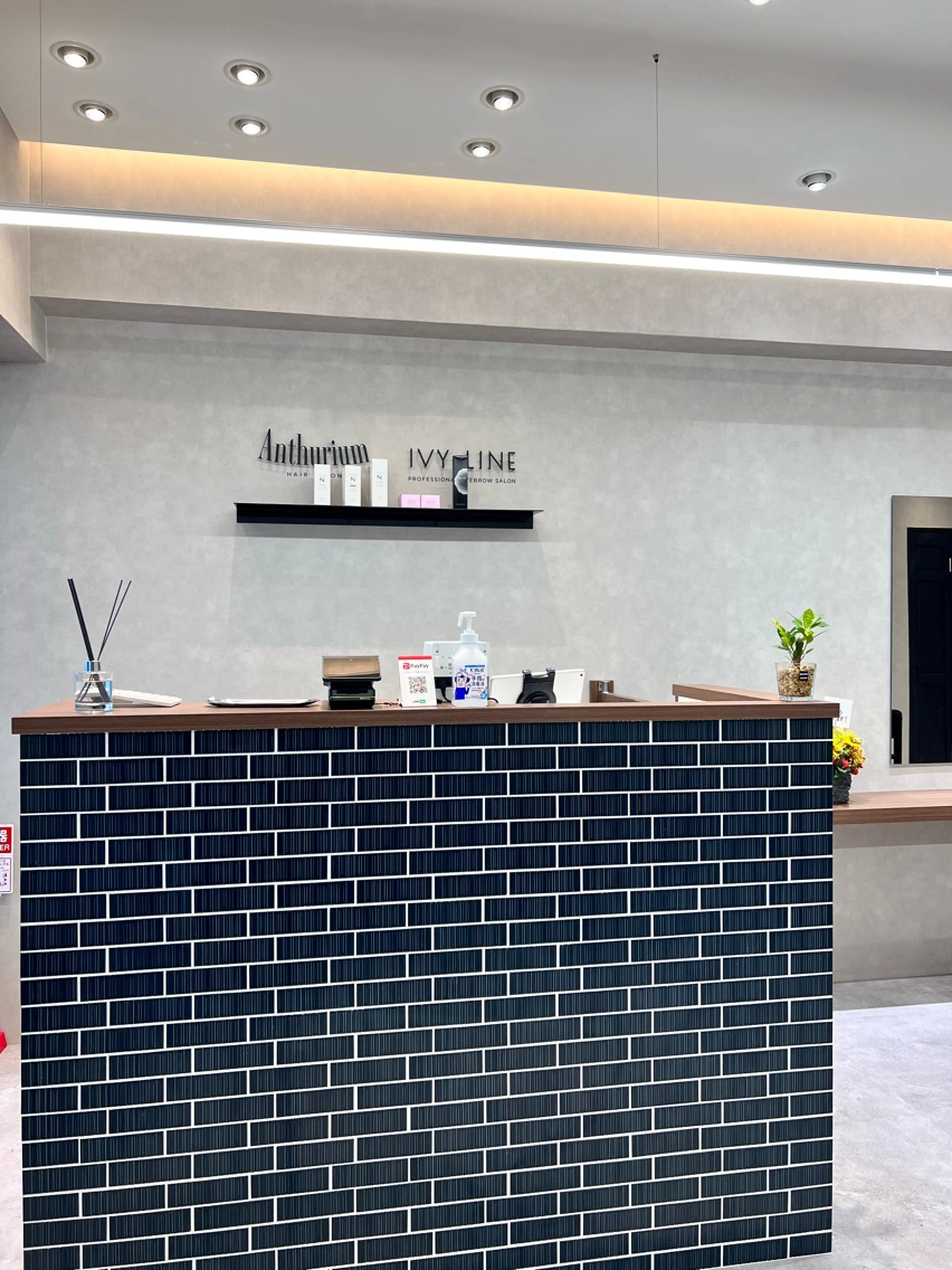 Anthuriumの内観・外観2