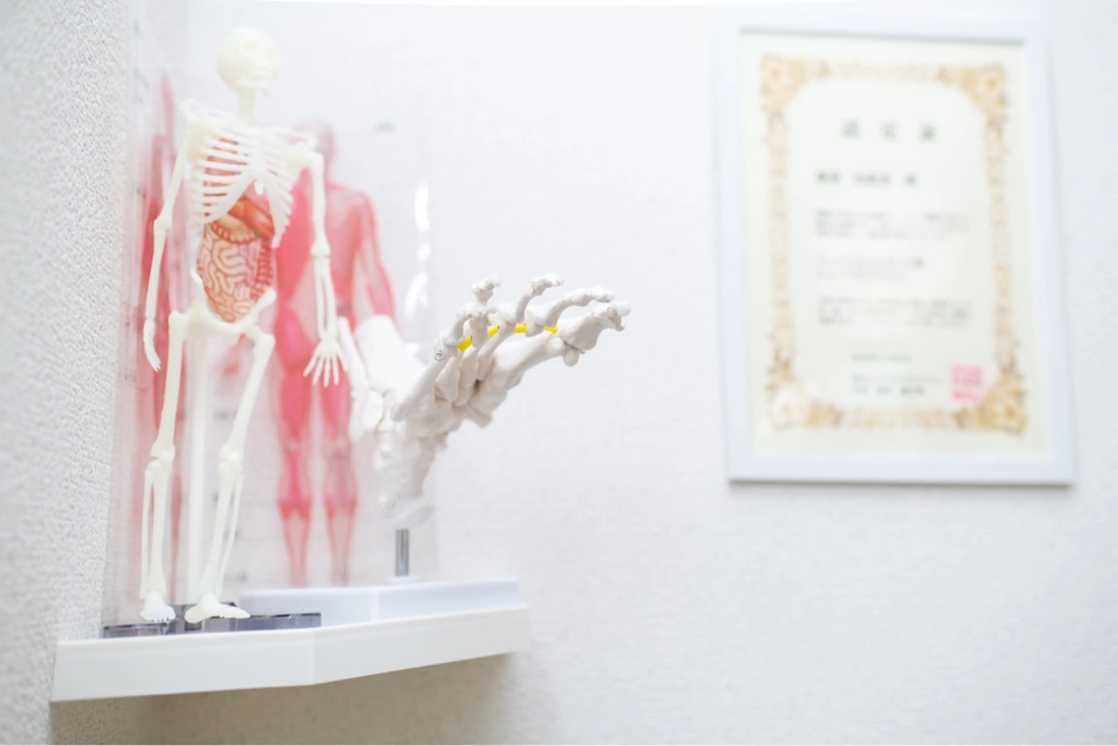 Miyuka(ミュカ)の内観・外観1