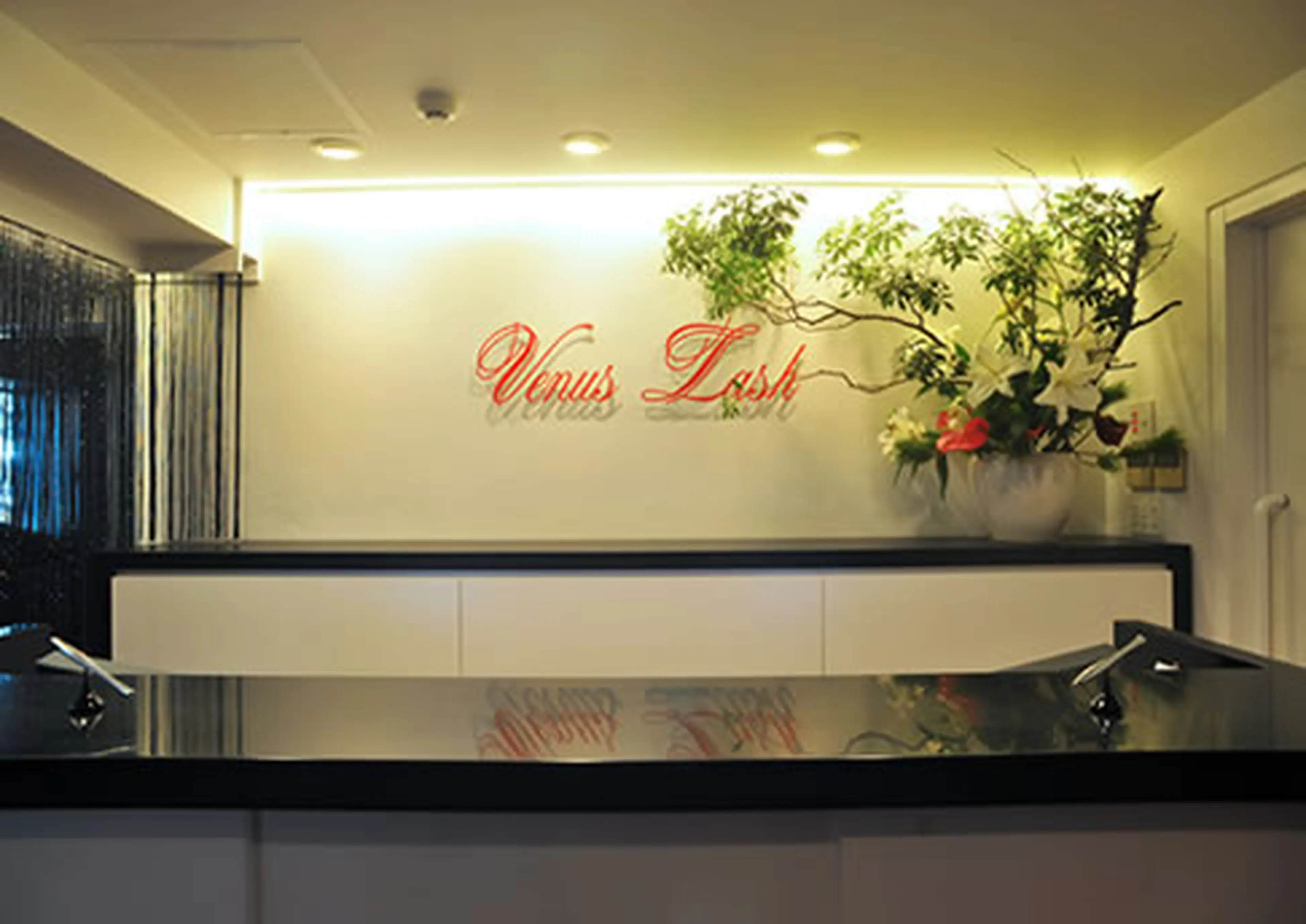ヴィーナスラッシュ　六本木店の内観・外観1