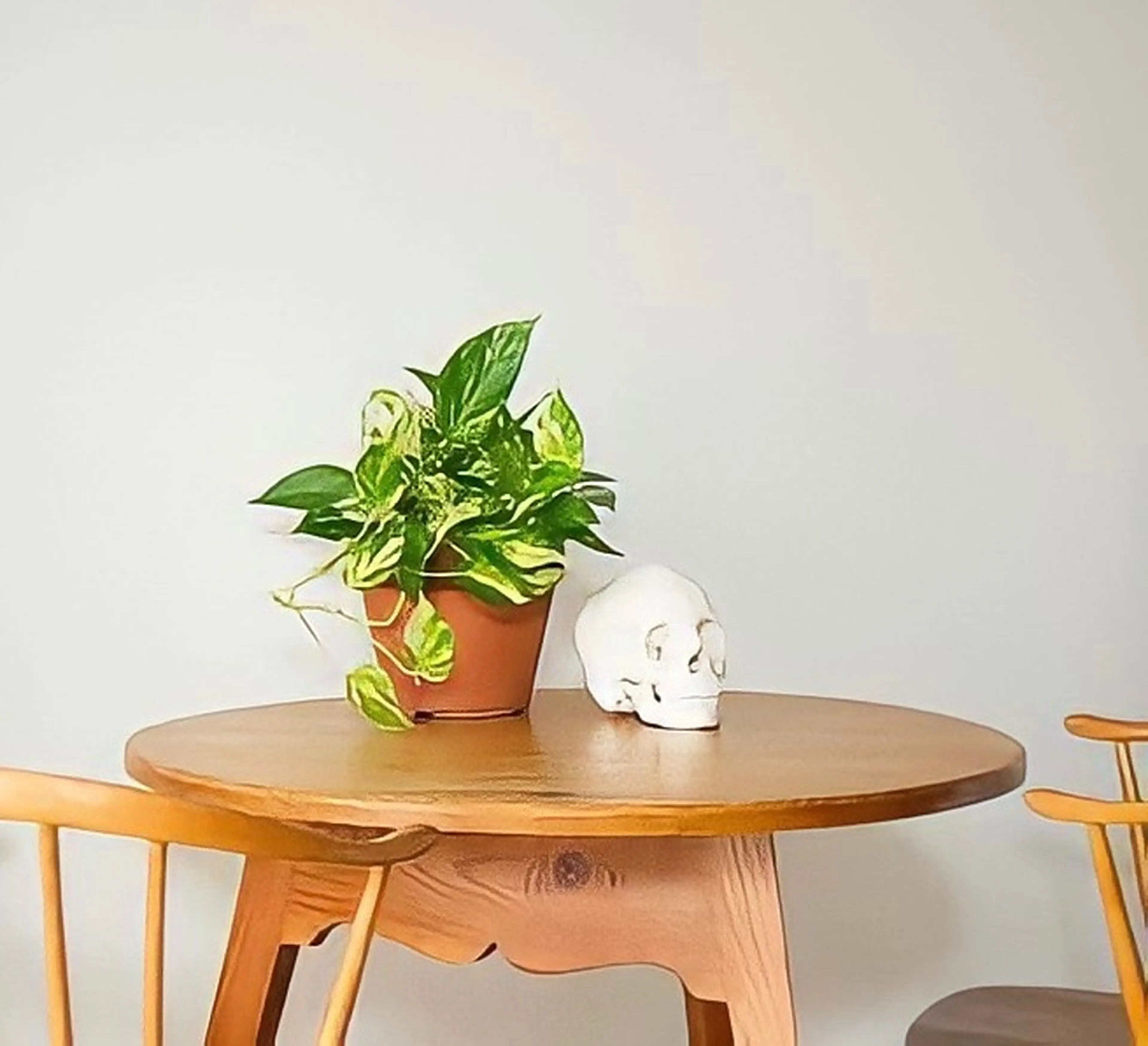 シンメトリィシェイプアップAIRELの内観・外観2