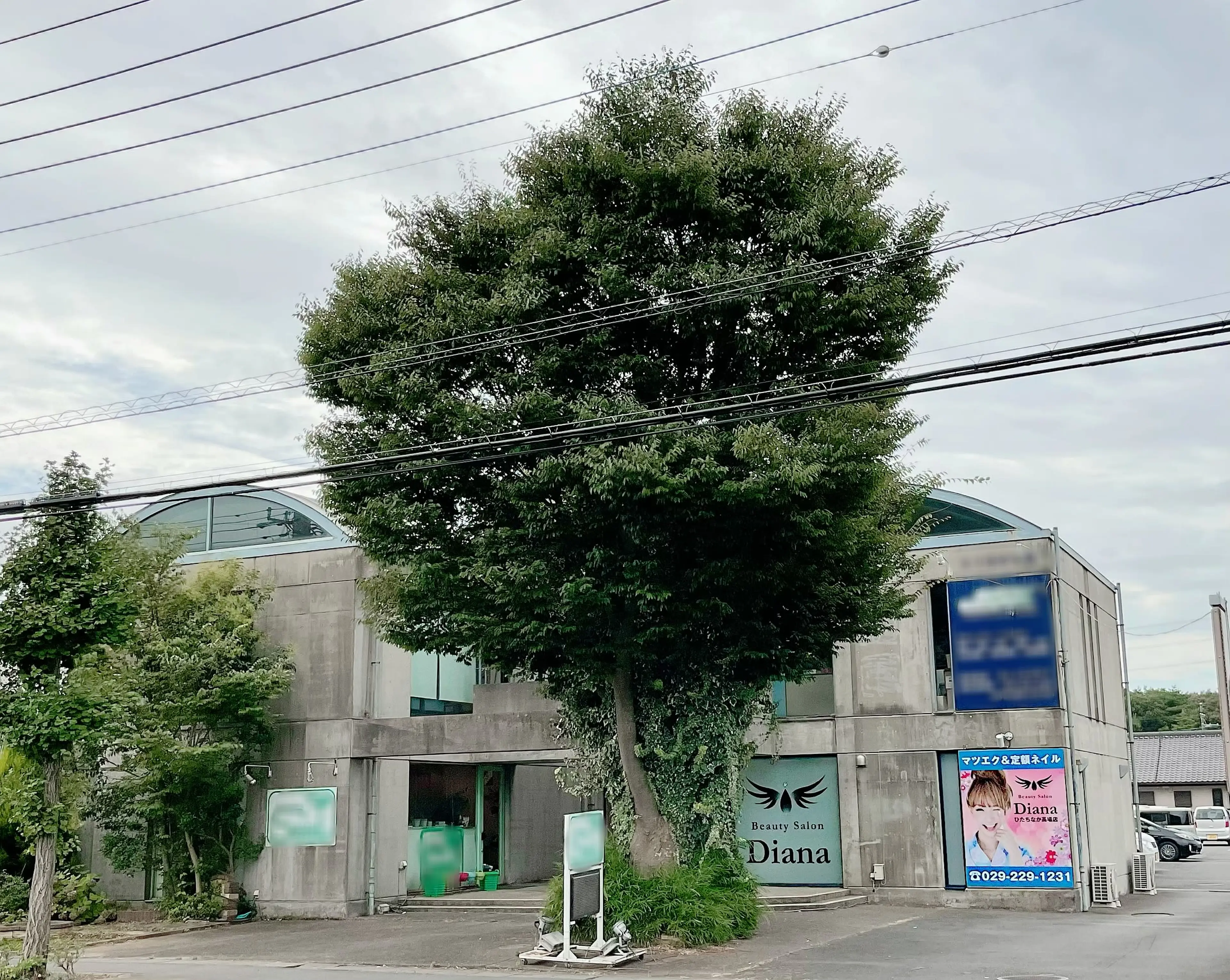 DIANA　ディアナ　ひたちなか高場店の内観・外観1