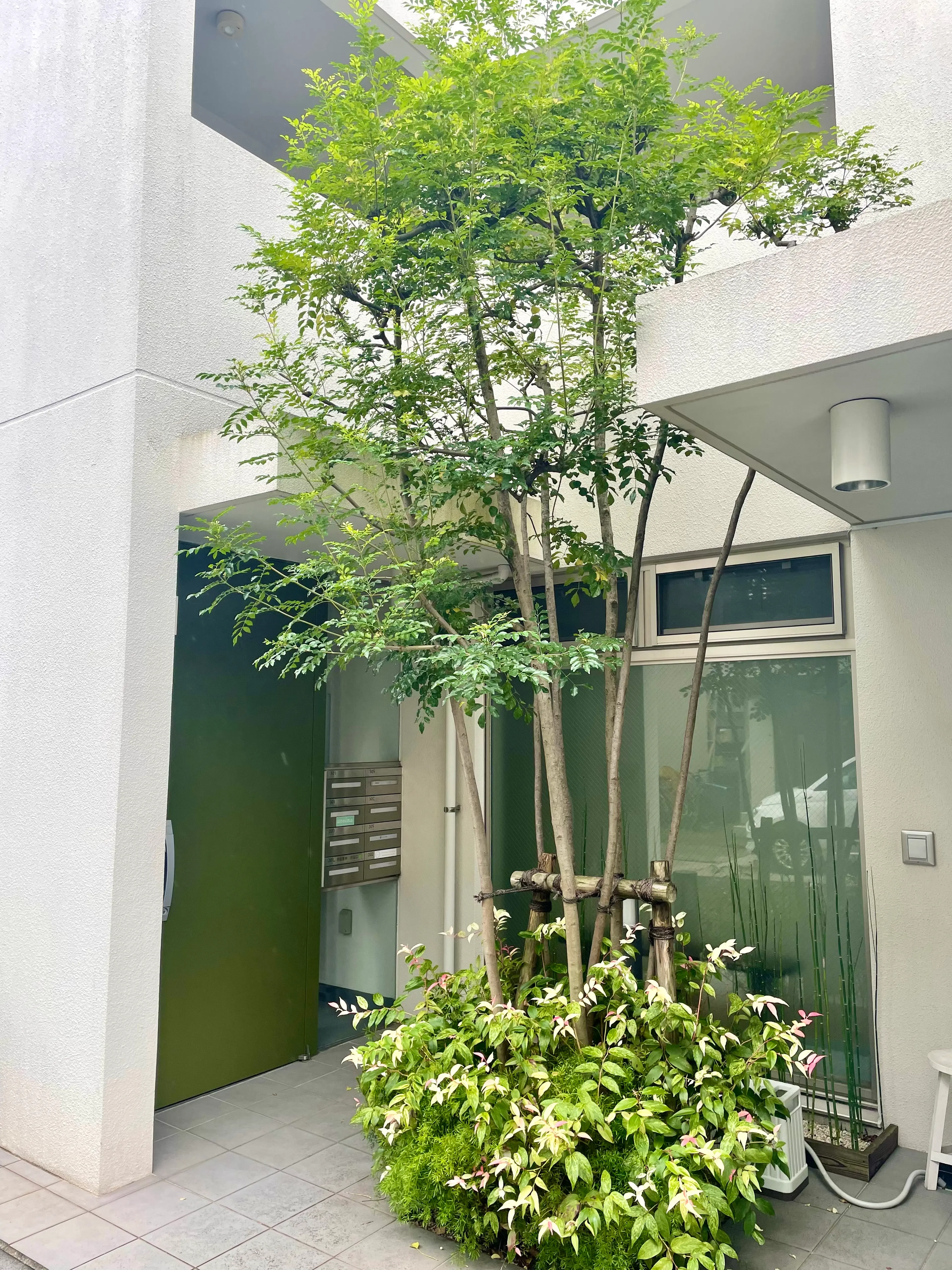 self-caresalon1/fゆらぎの内観・外観2