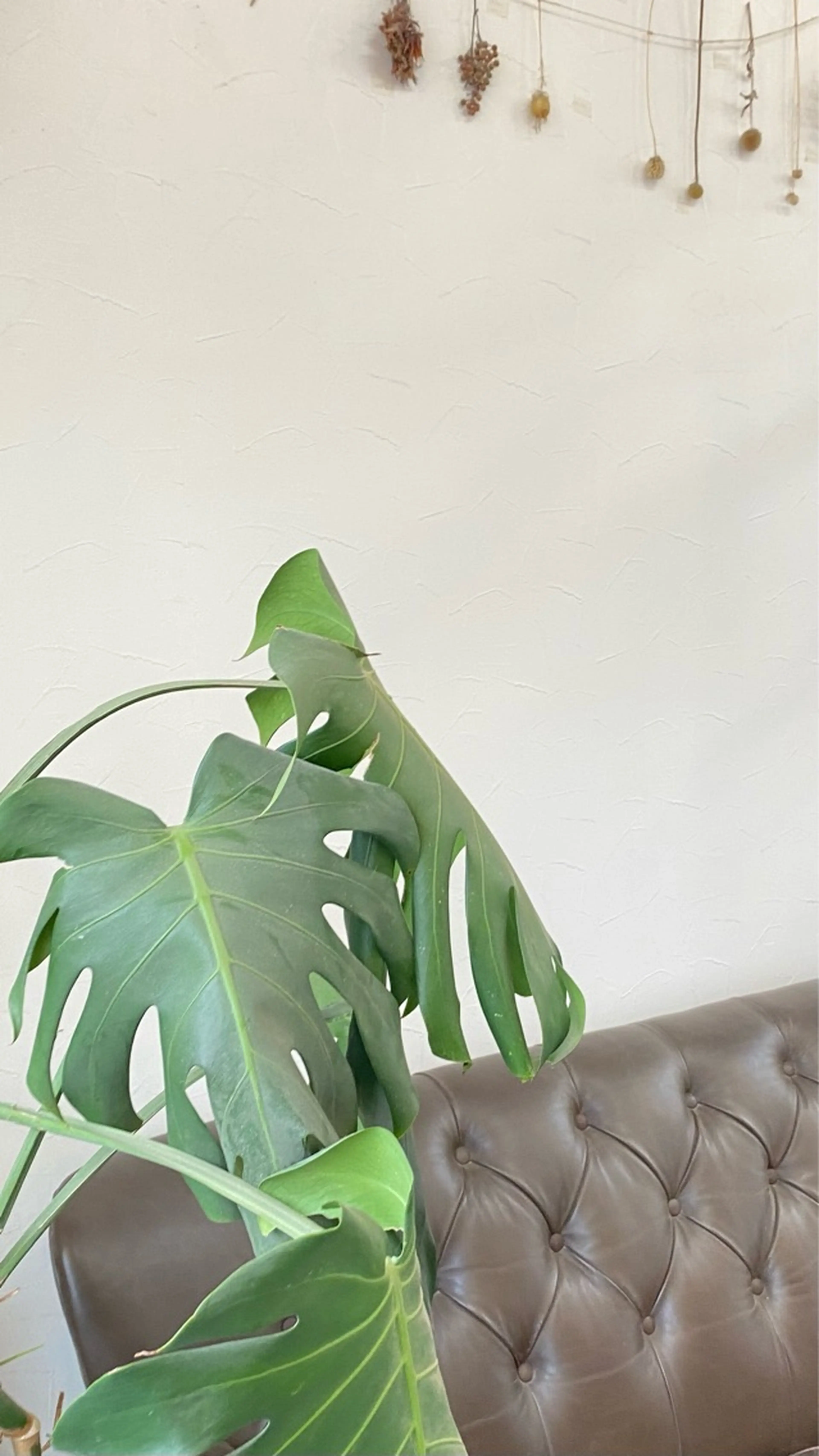 Neutral by flear 前原店の内観・外観2