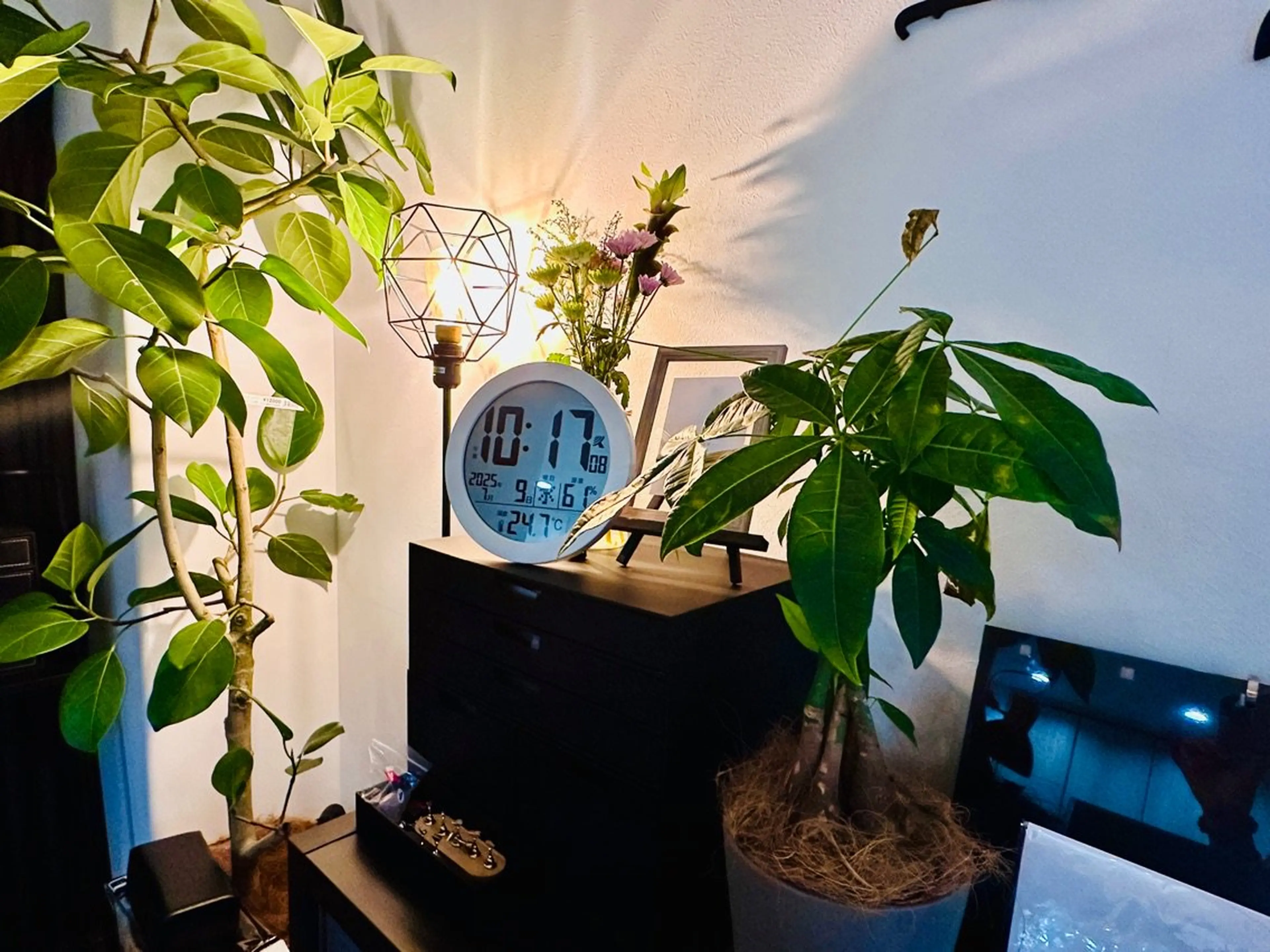 ルモスコLumoscoの内観・外観2