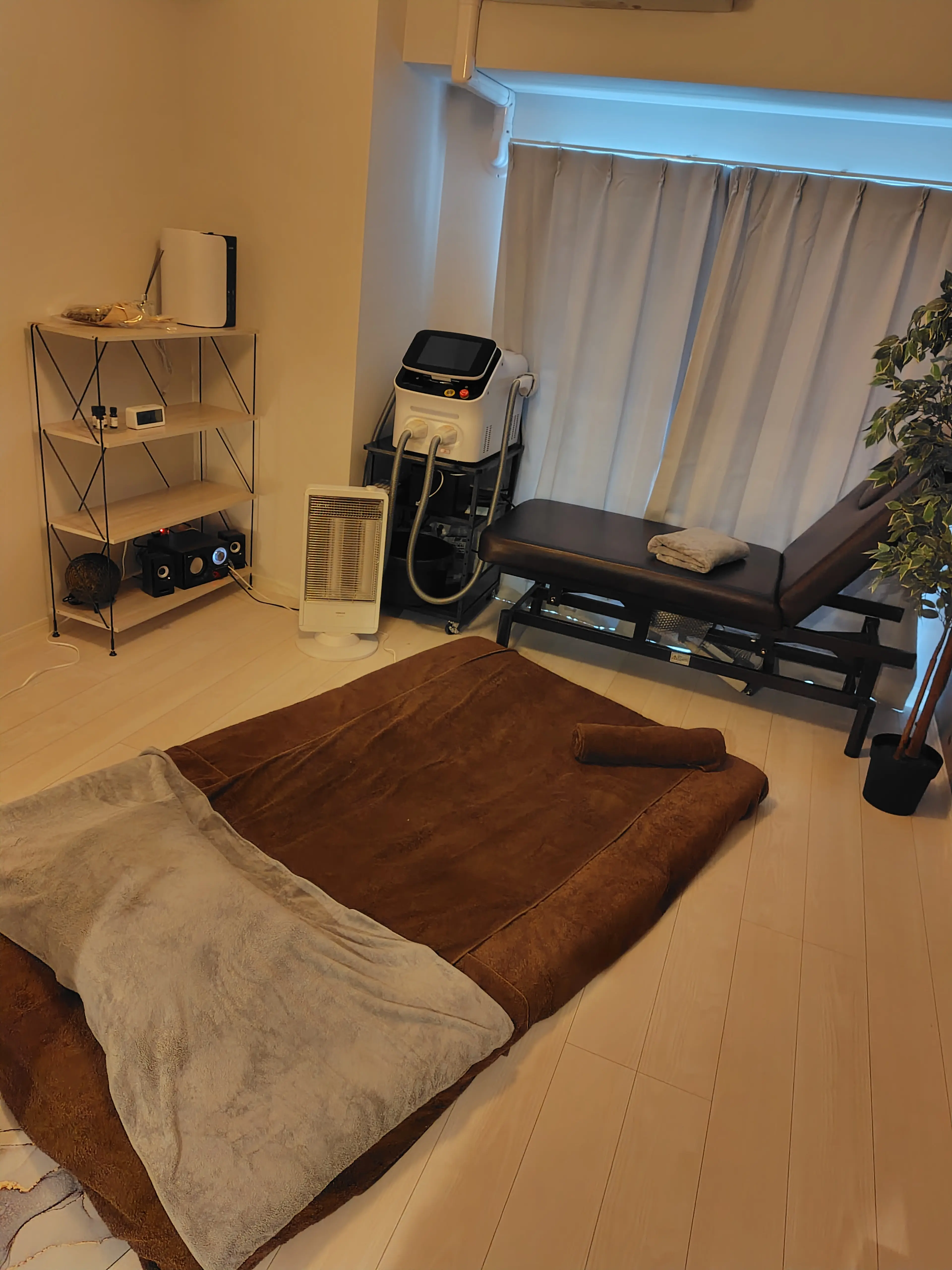 Spathiphyllumの内観・外観3