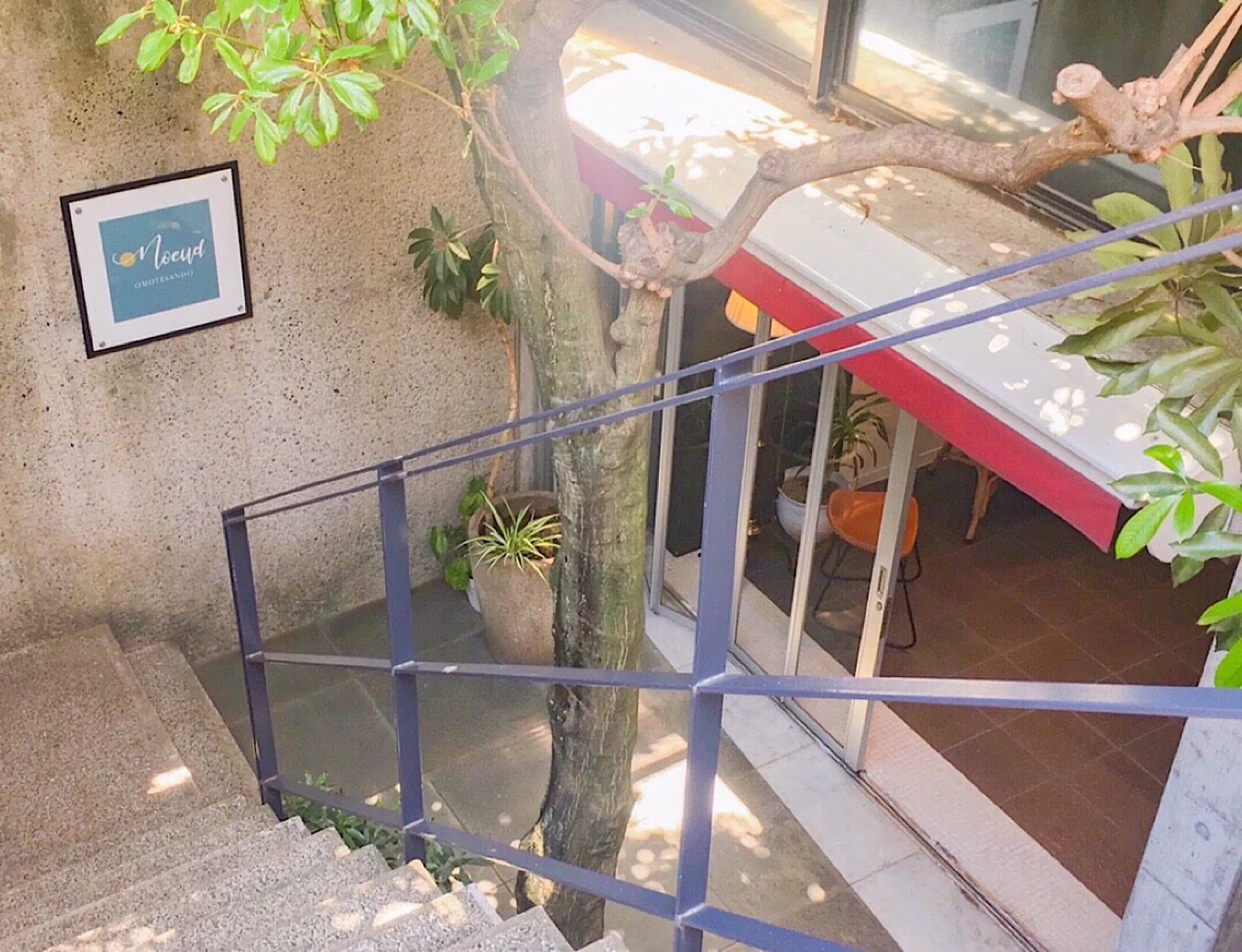 noeud(ノード)omotesando(表参道)の内観・外観1