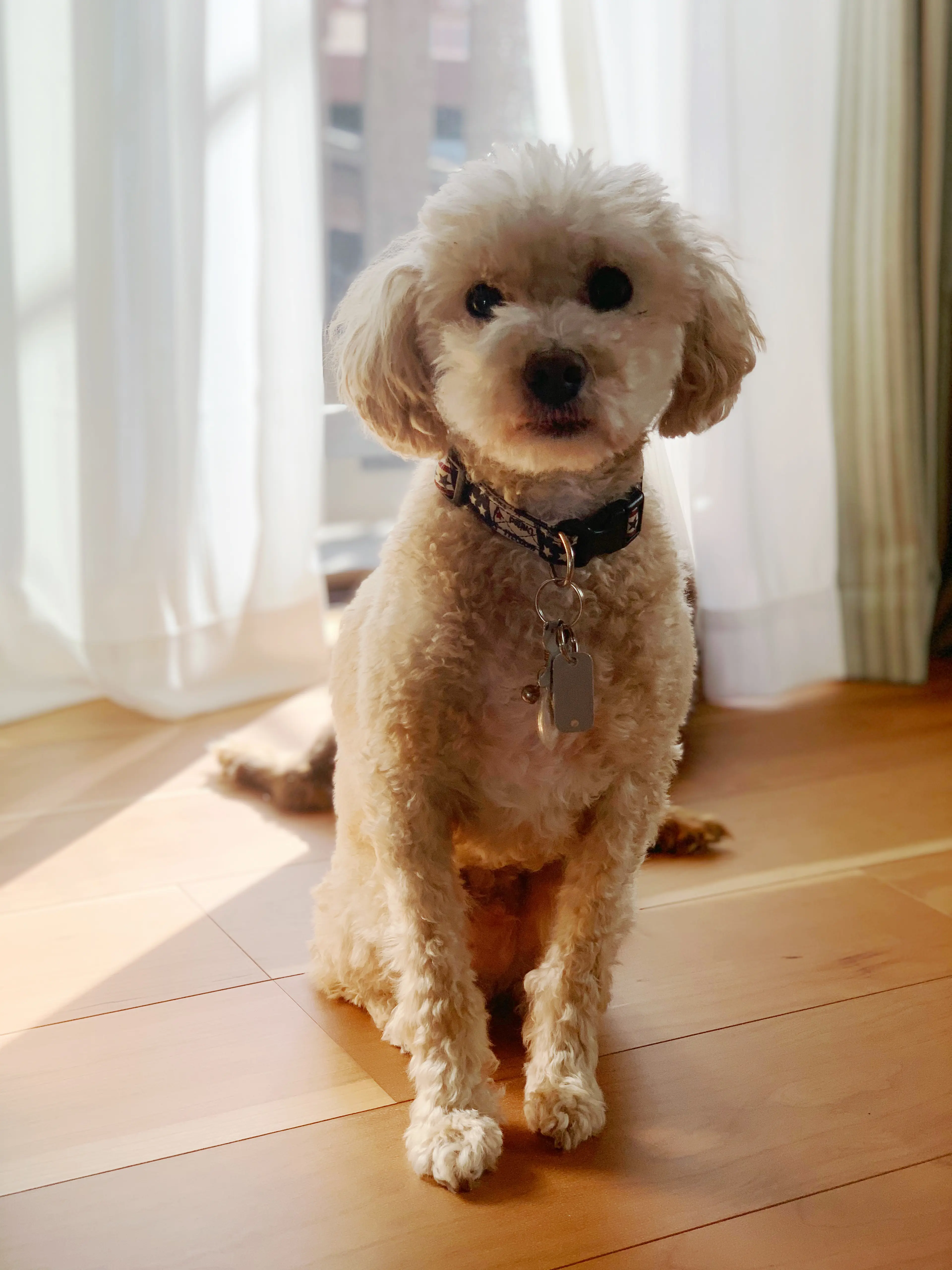 サロンシュシュの内観・外観3