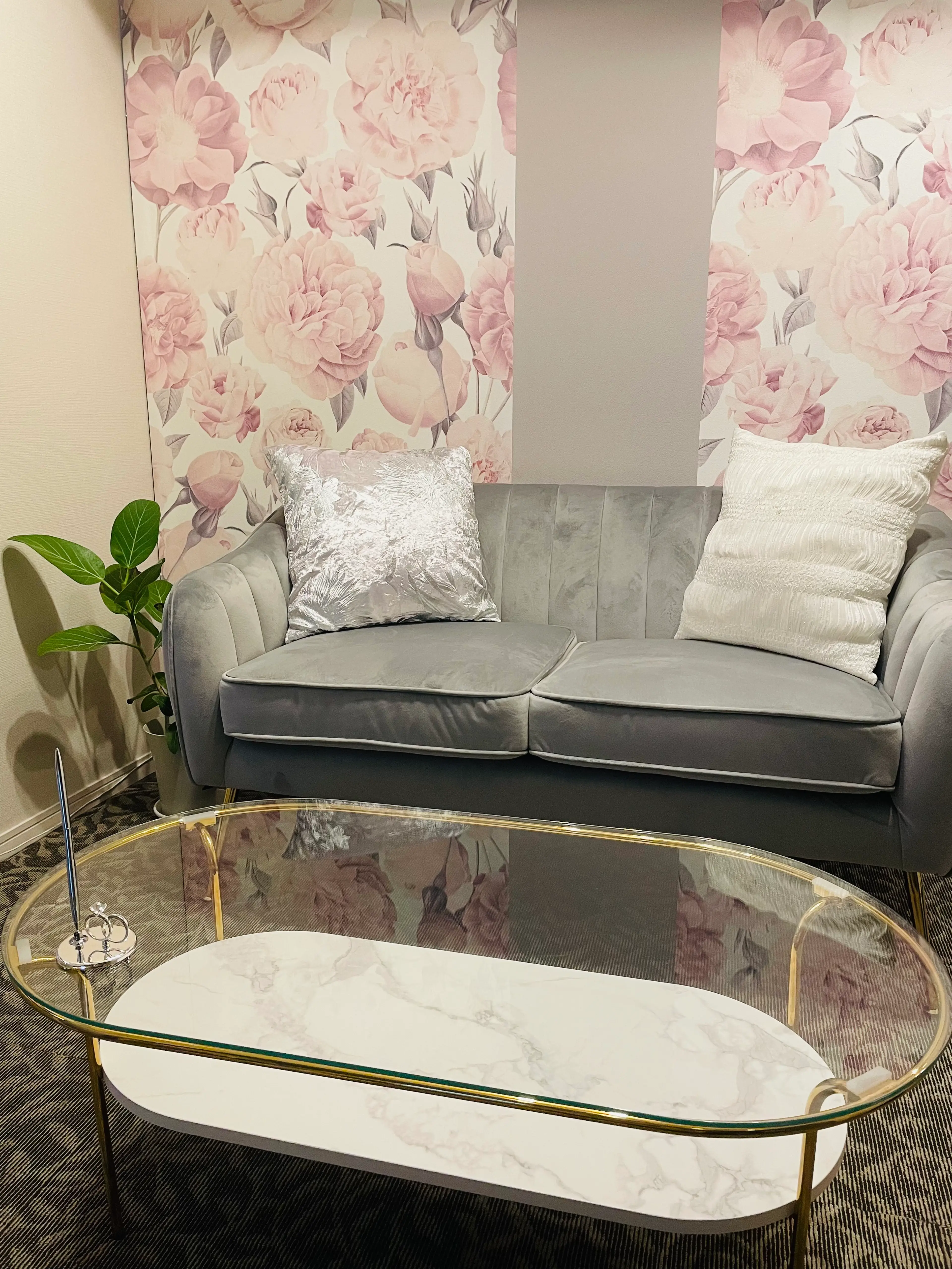 美ola（ビオラ）の内観・外観2