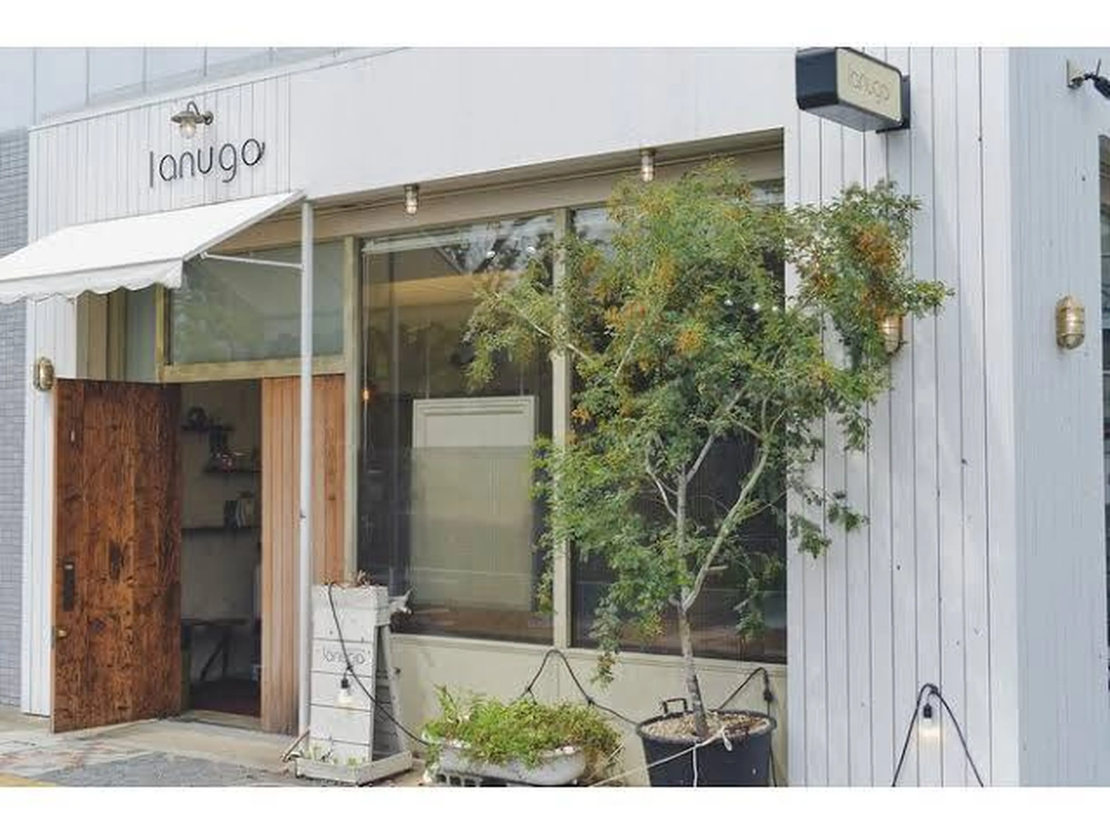 lanugoの内観・外観1