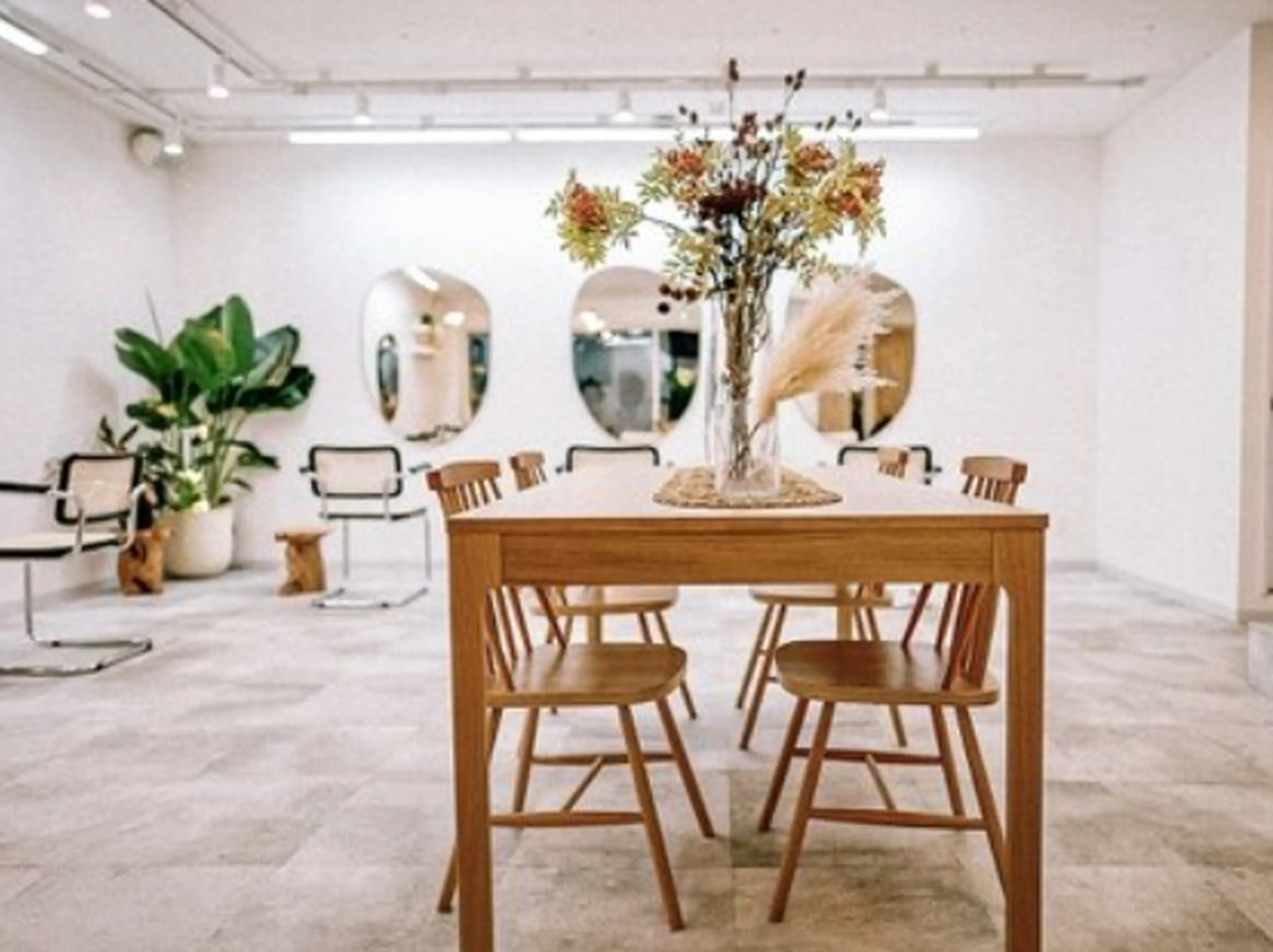 .Hallisの内観・外観1