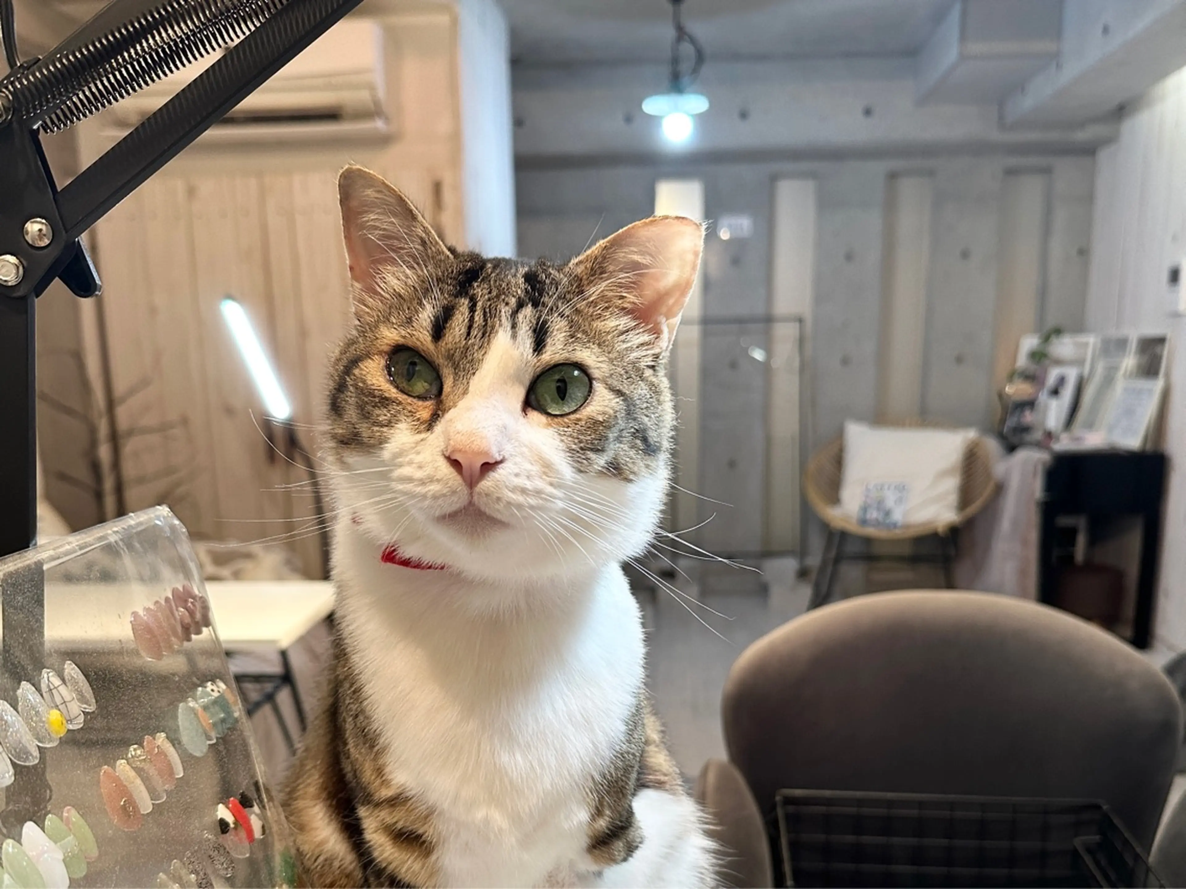 NAIL'S MODAの内観・外観1