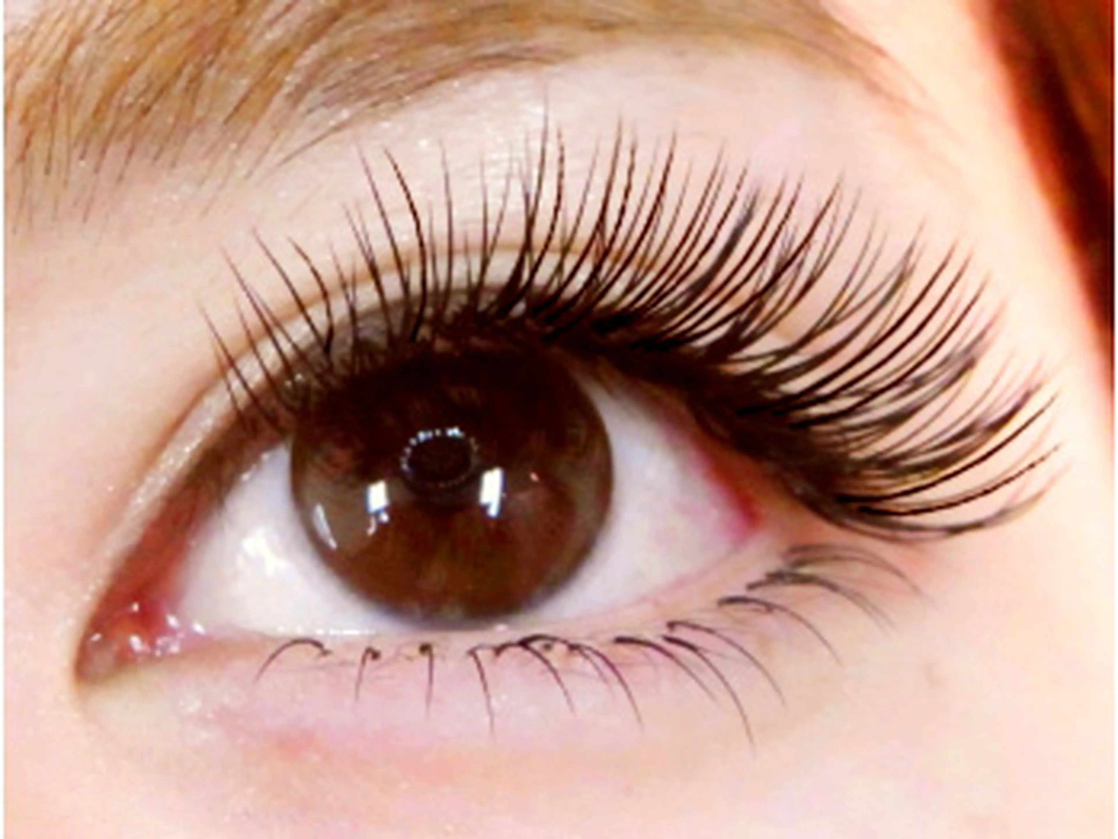 セレビアイの内観・外観3