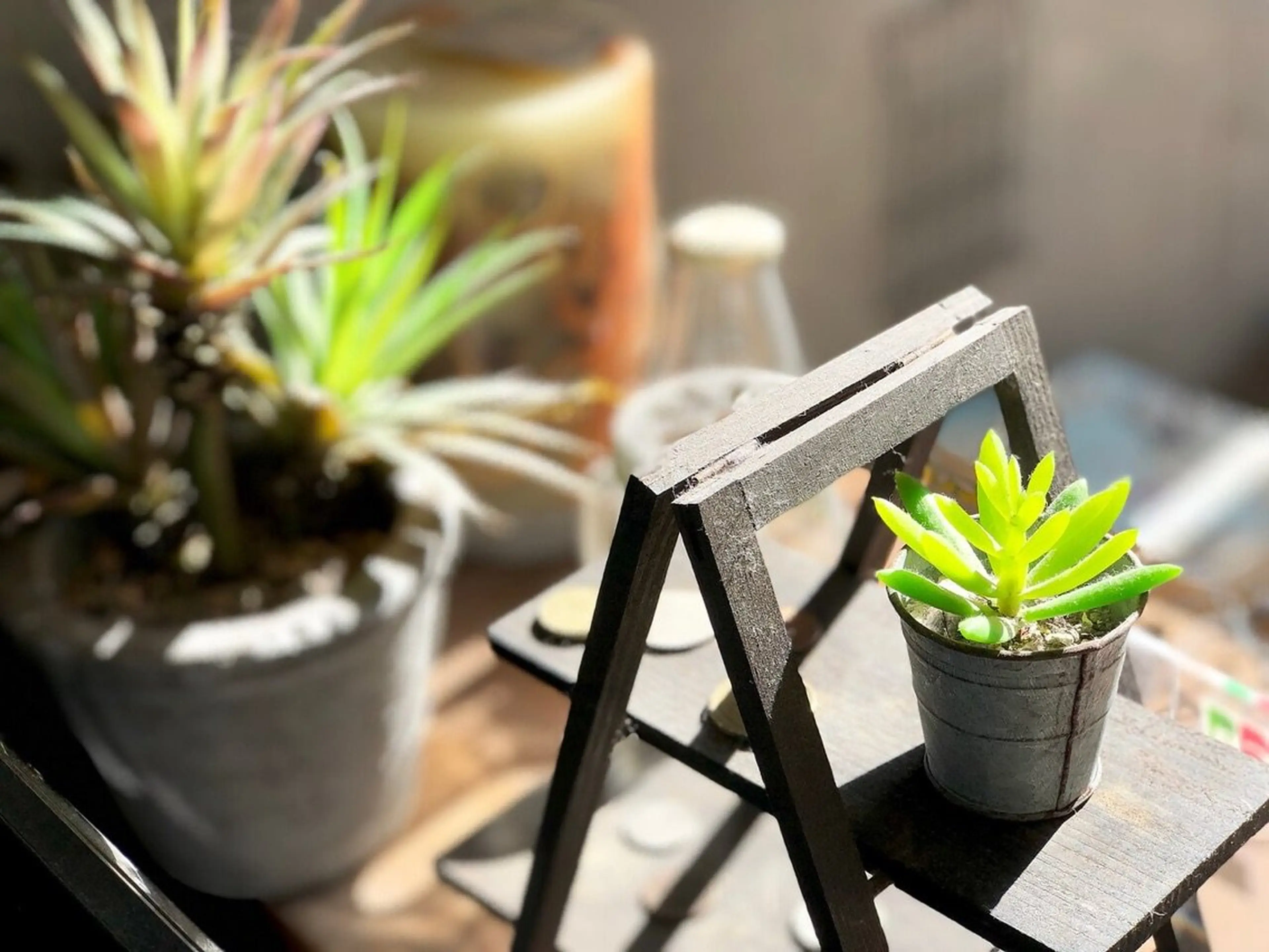 cadre新小岩南口店の内観・外観3