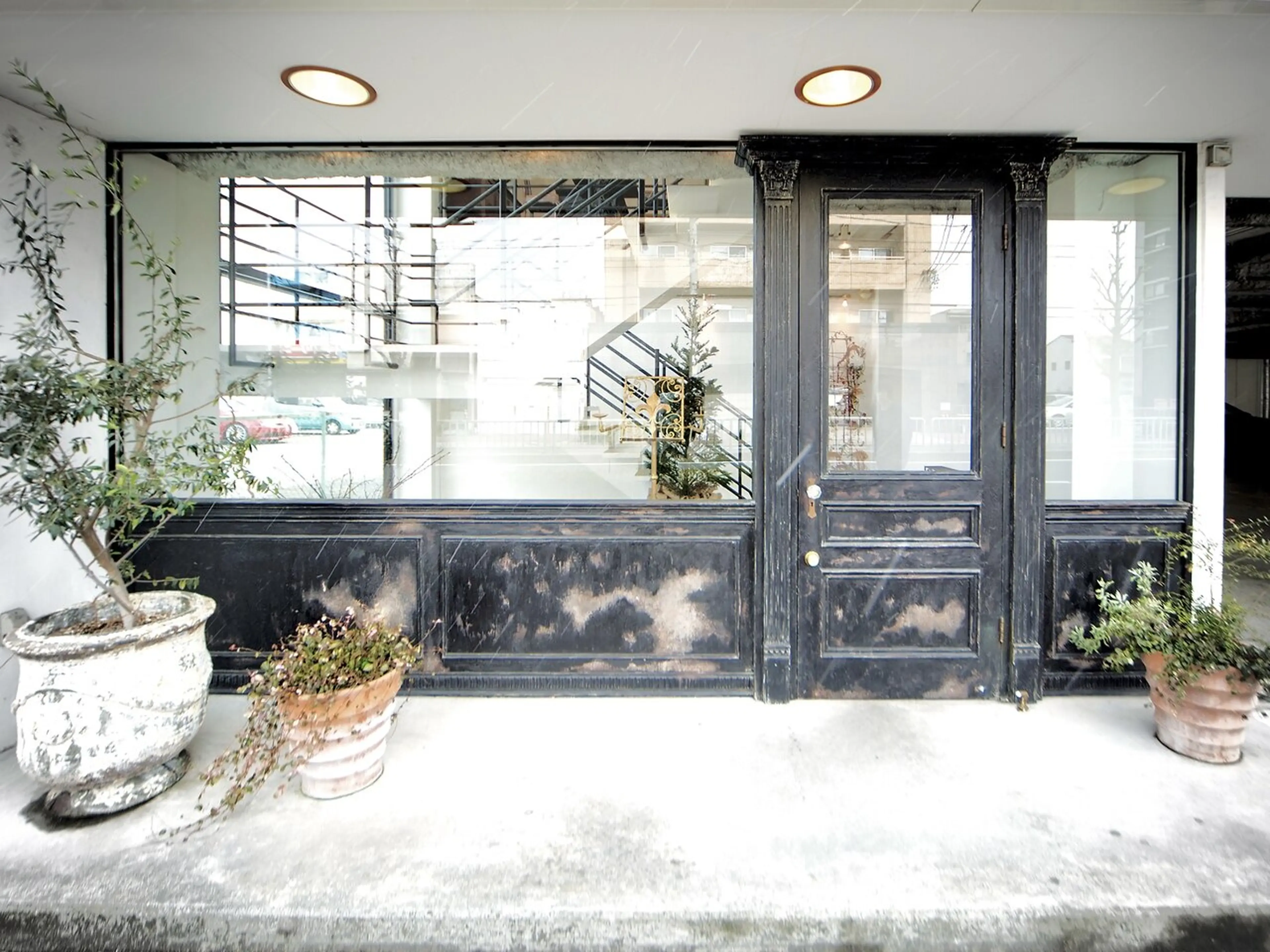 Angelicaの内観・外観1