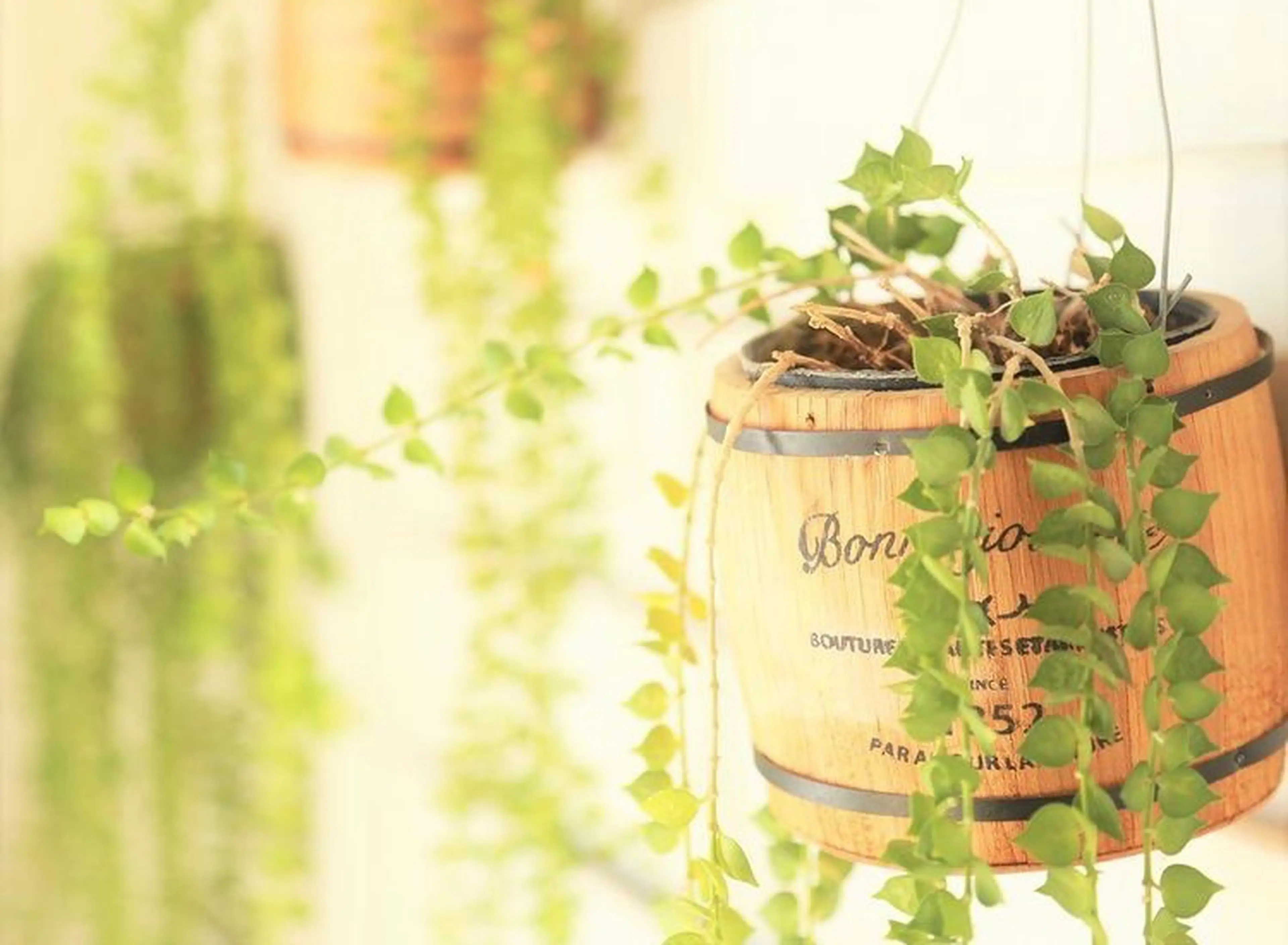 aloha nailの内観・外観3