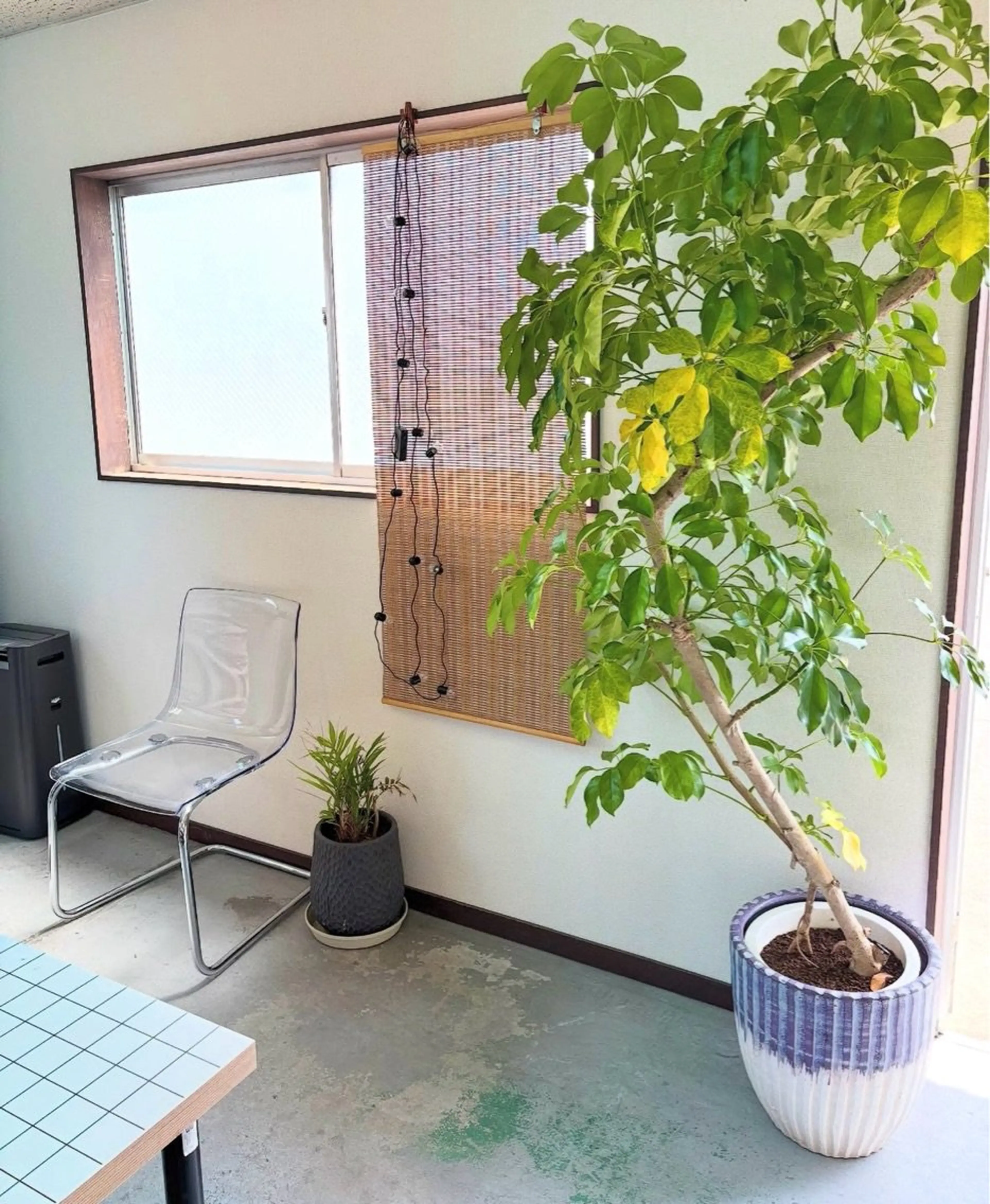 sneeze nailstudioの内観・外観3