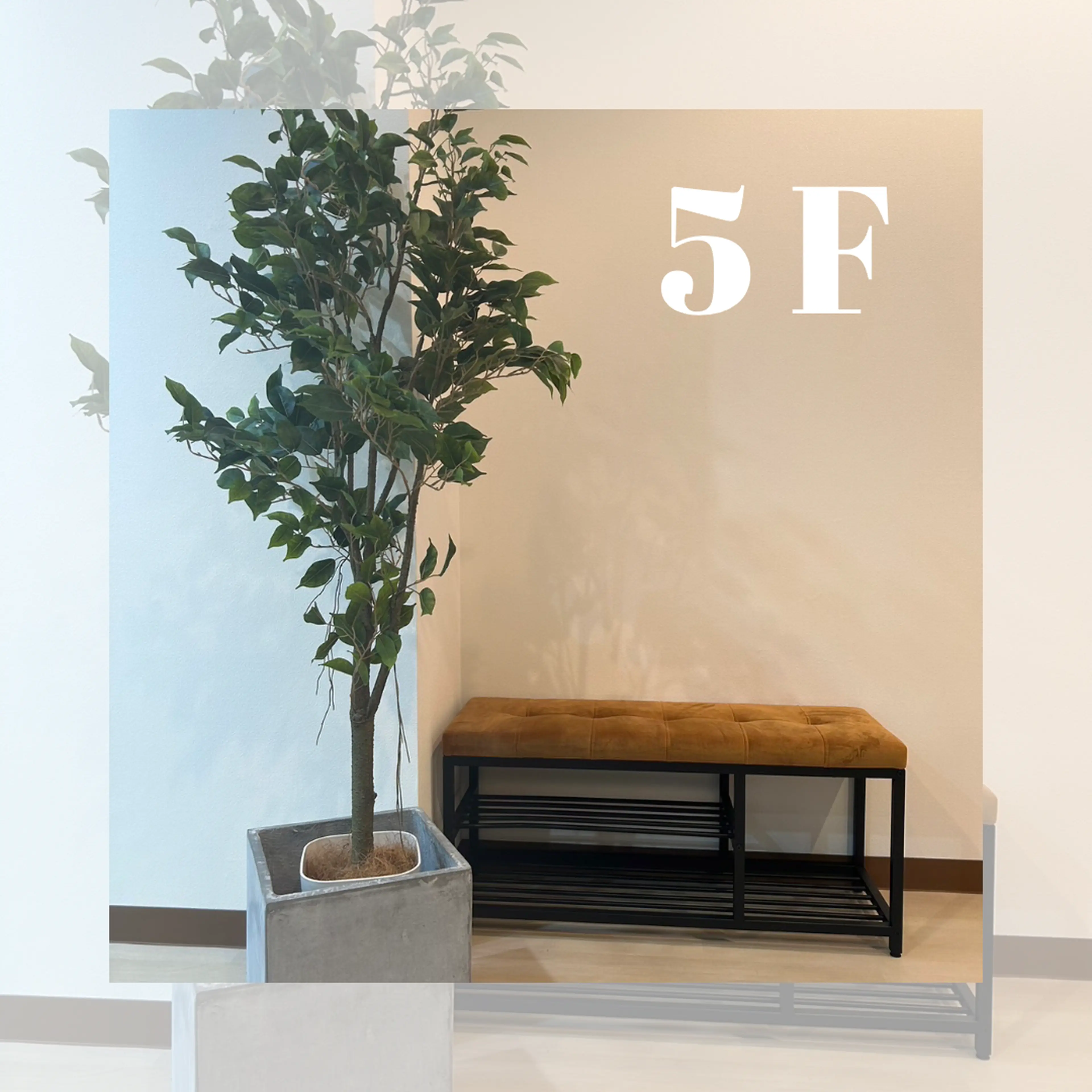 Ribbon立川店の内観・外観2