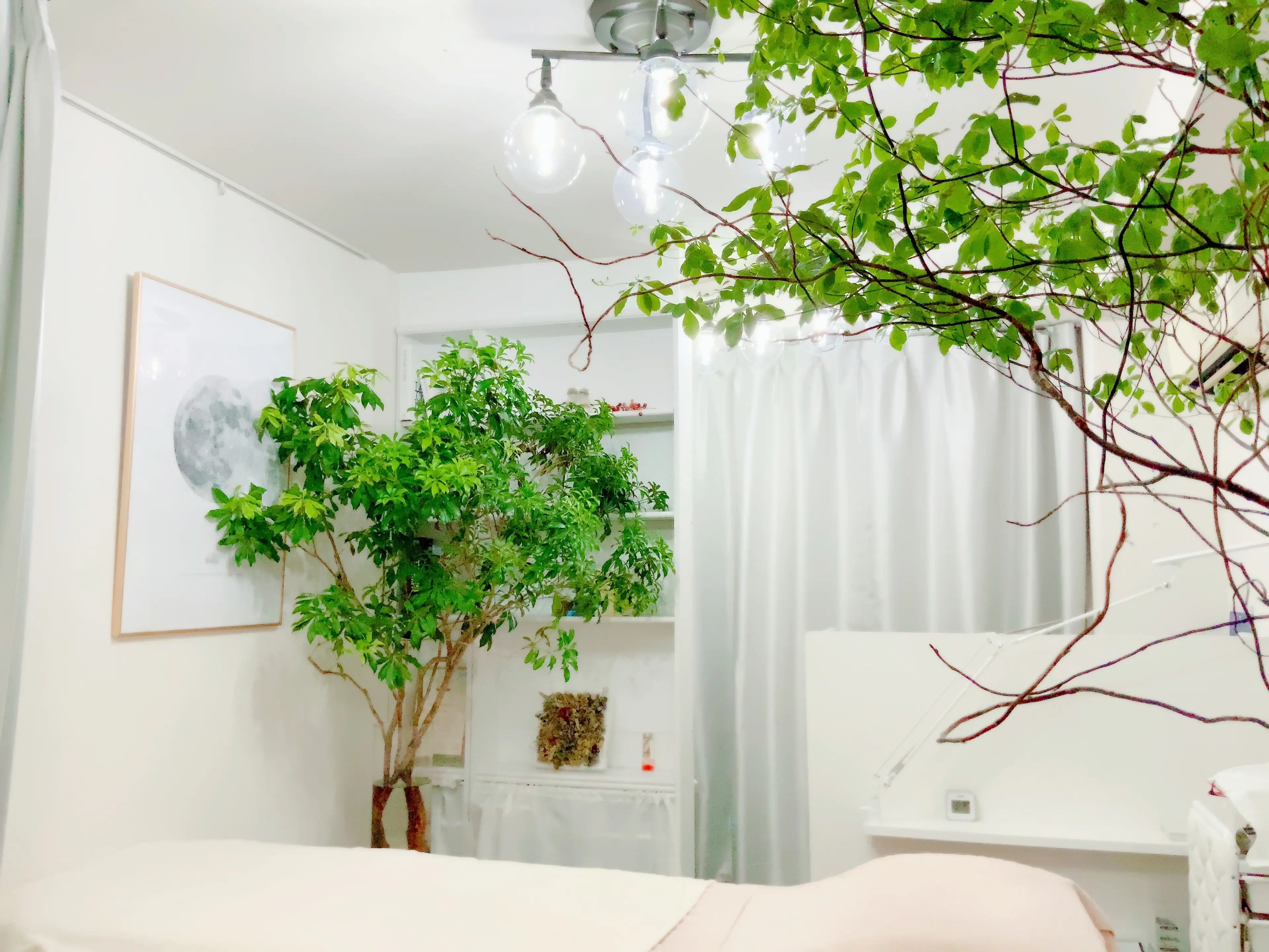 Nu,の内観・外観2