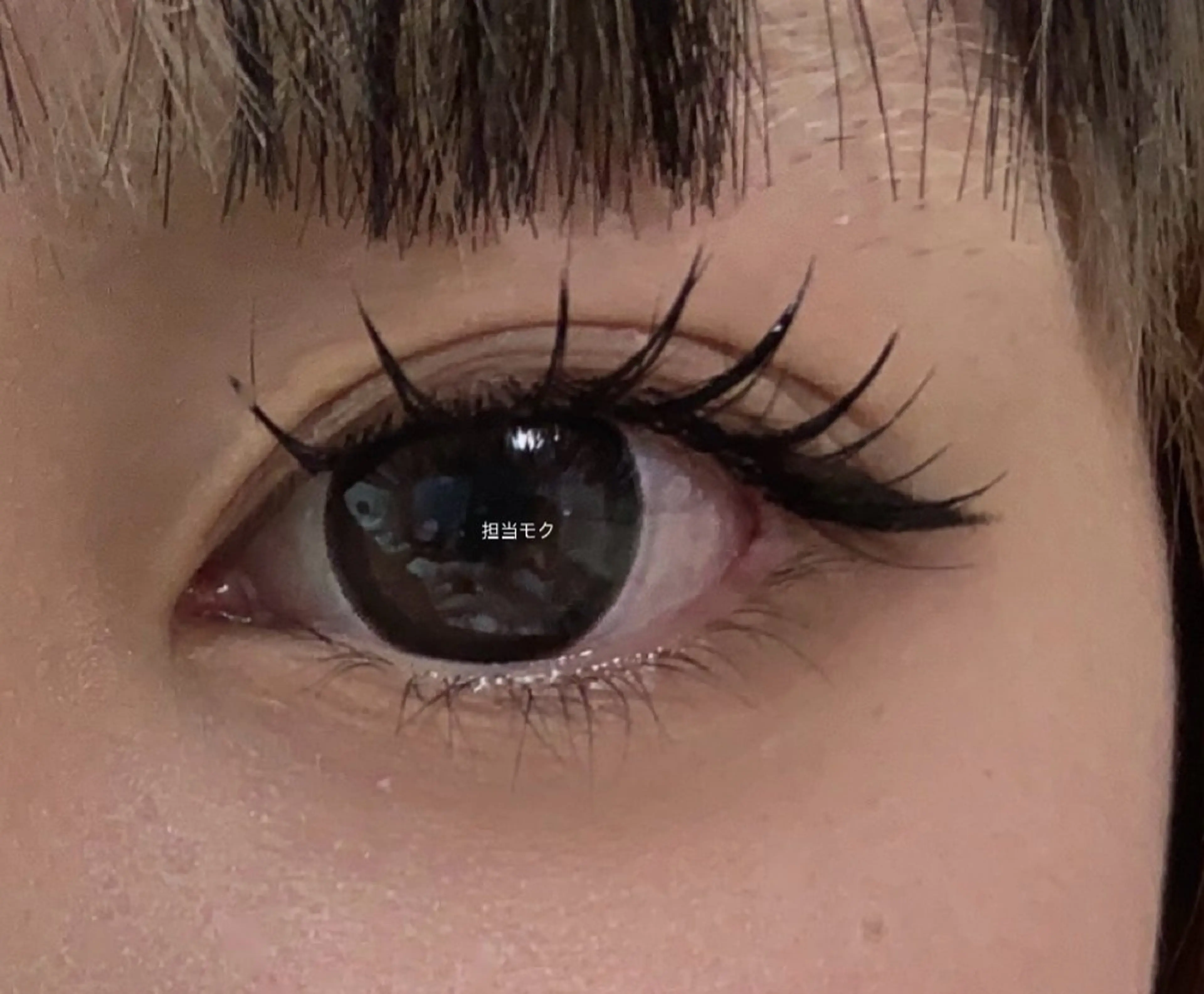 マツエク・マツパ マツエク L・ヒヒアイラッシュ 沐(moku)のマツエク・マツパデザイン