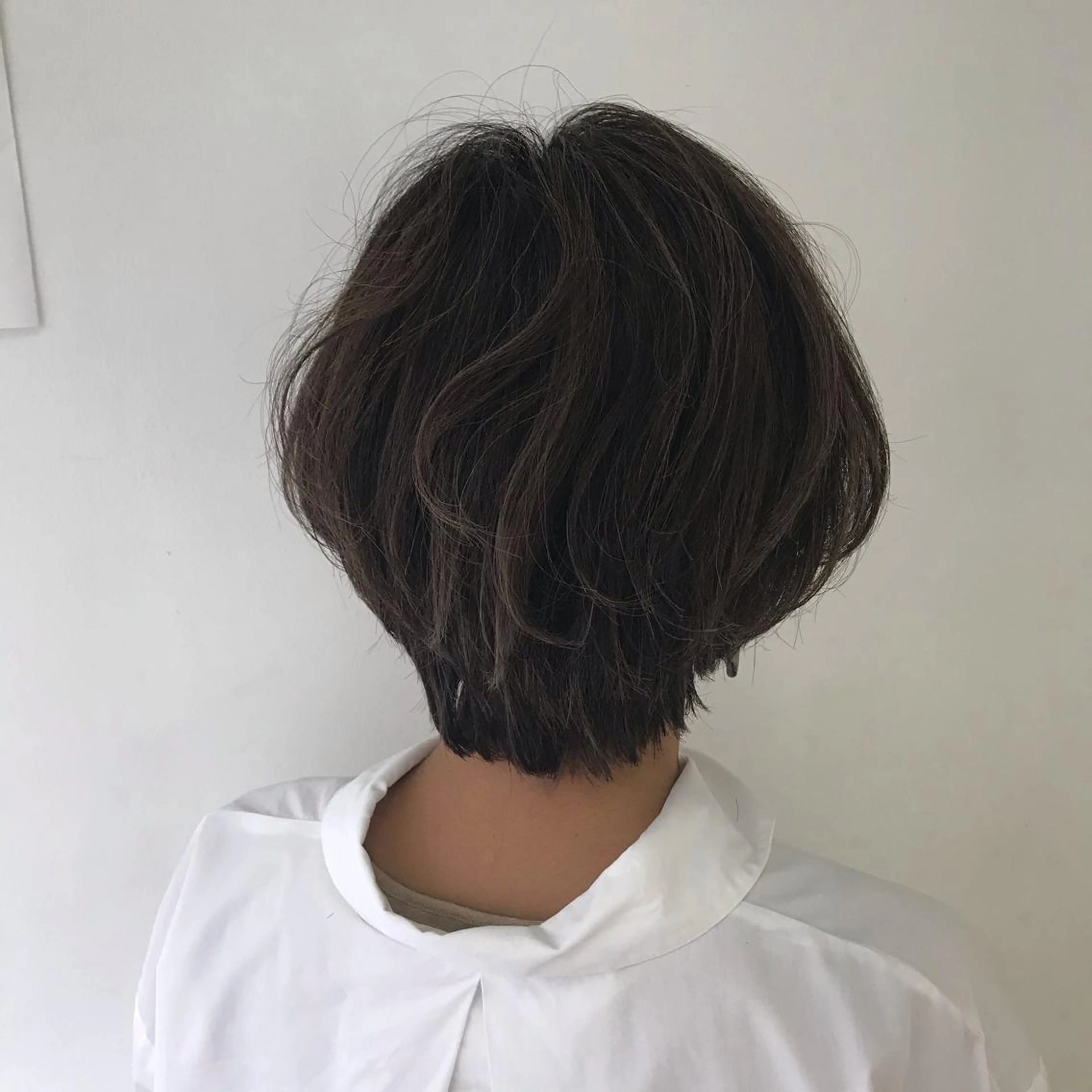 ショート カラー ハンサムショート ハイライトカラー ハイライト ショートヘア ていねい技術No.1 🌈諏訪 健太のヘアスタイル