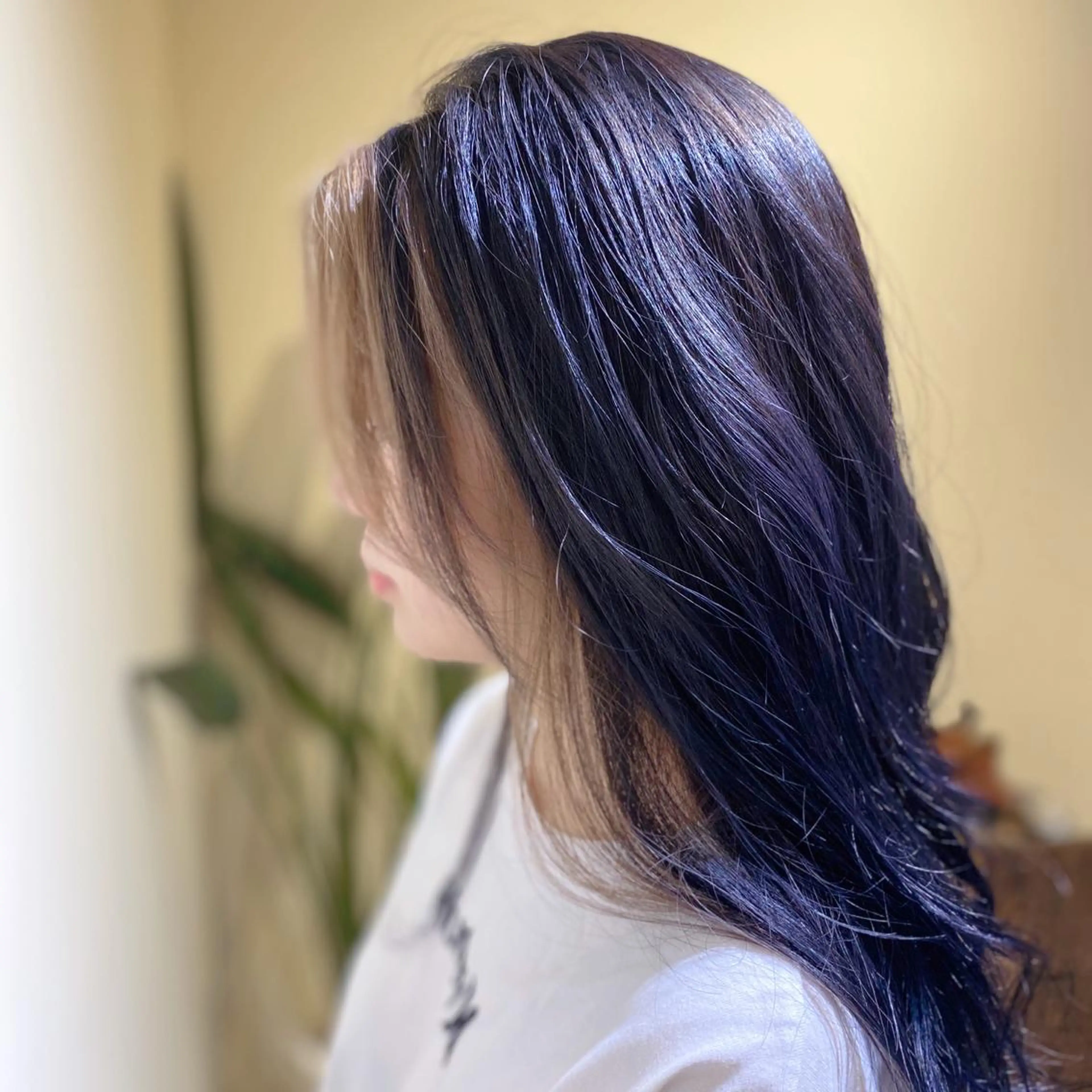 カラー Re.ly所属・🦄Re.ly代表 灰野壮🦄のヘアスタイル