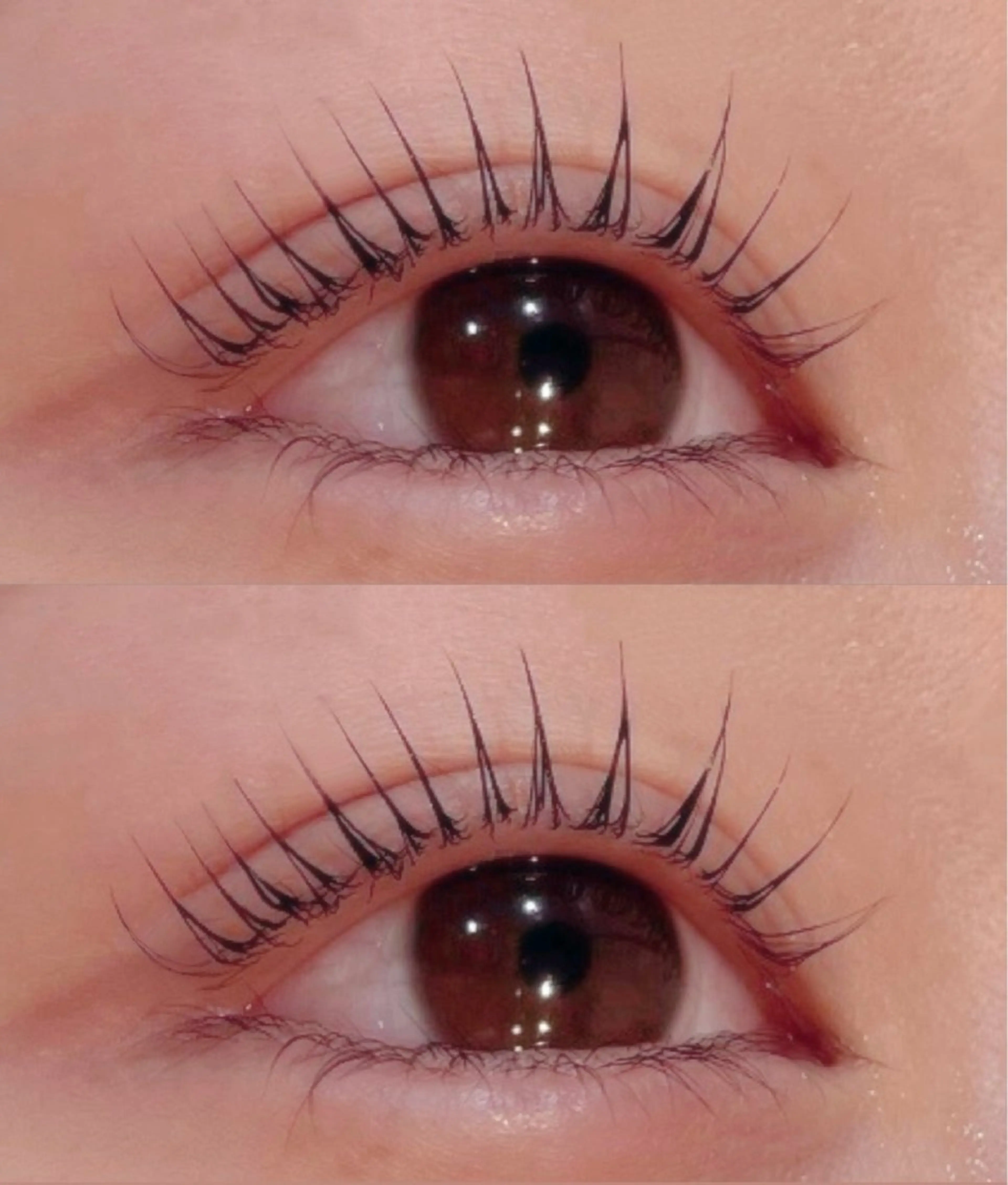 マツパ🪽‪コーティング込みの写真