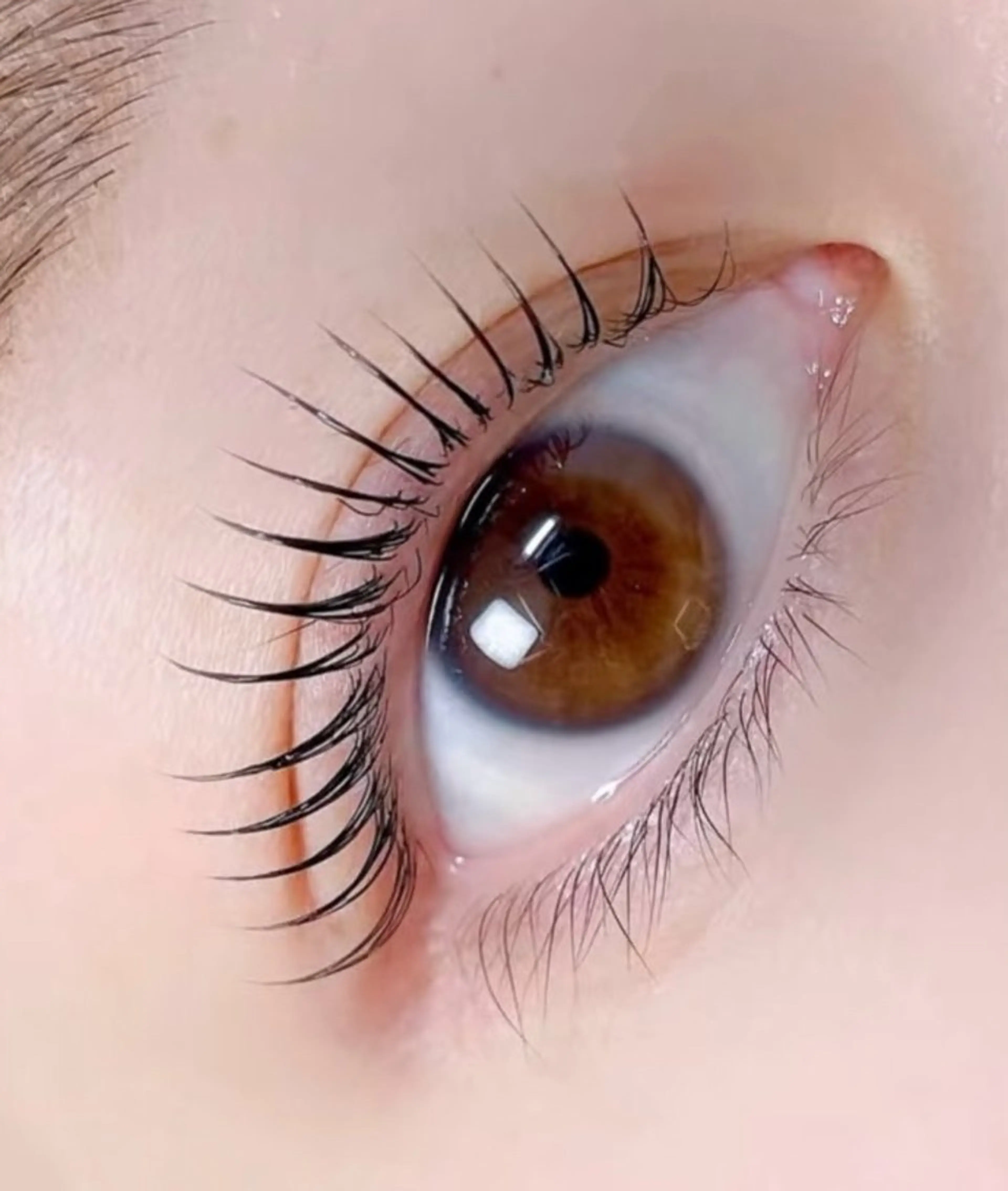 💛【まつパ】💛ラッシュリフト上◎似合わせデザイン+美容液(支払い現金のみ)の写真