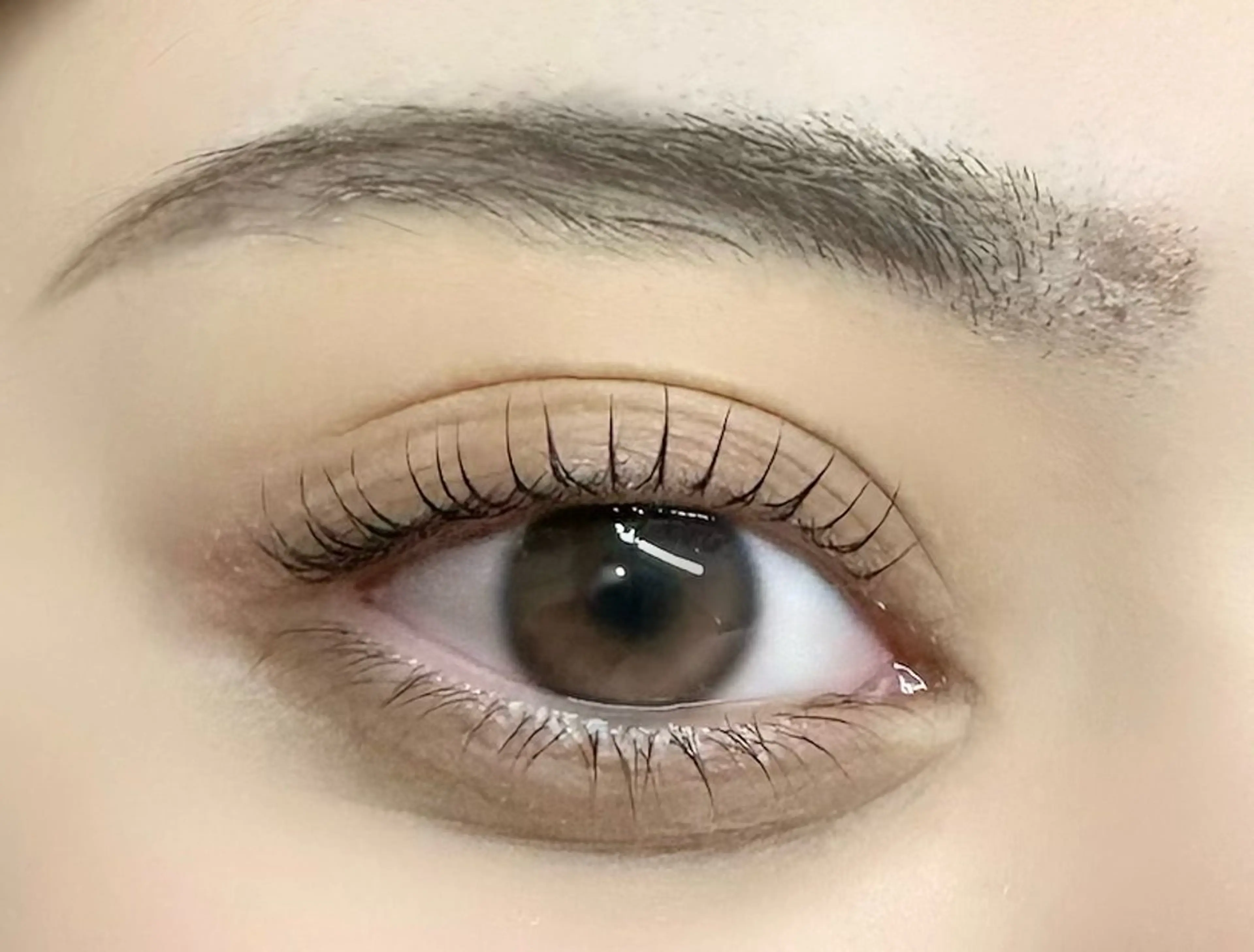 上下まつげパーマの写真