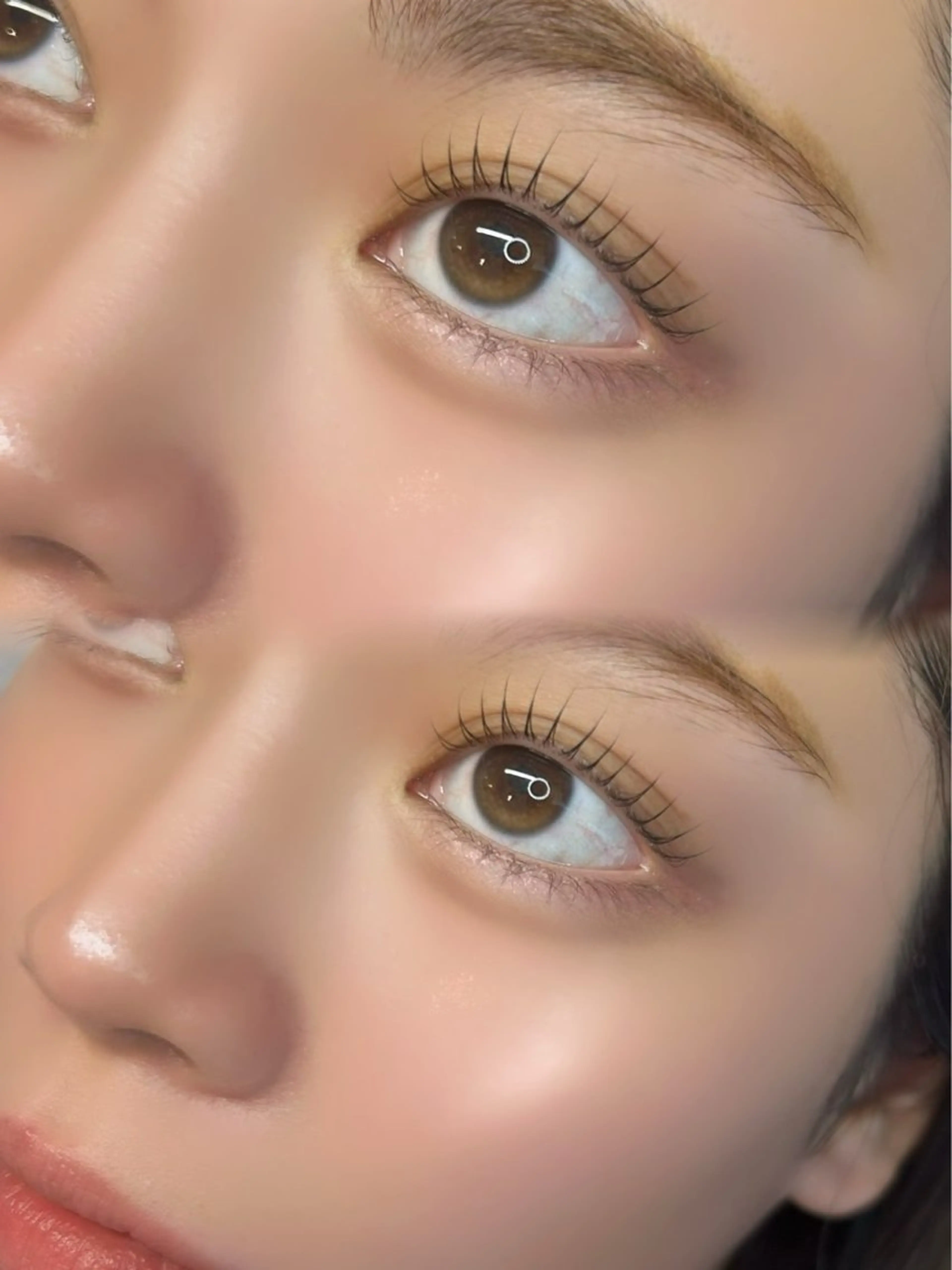 フラットラッシュ100本の写真