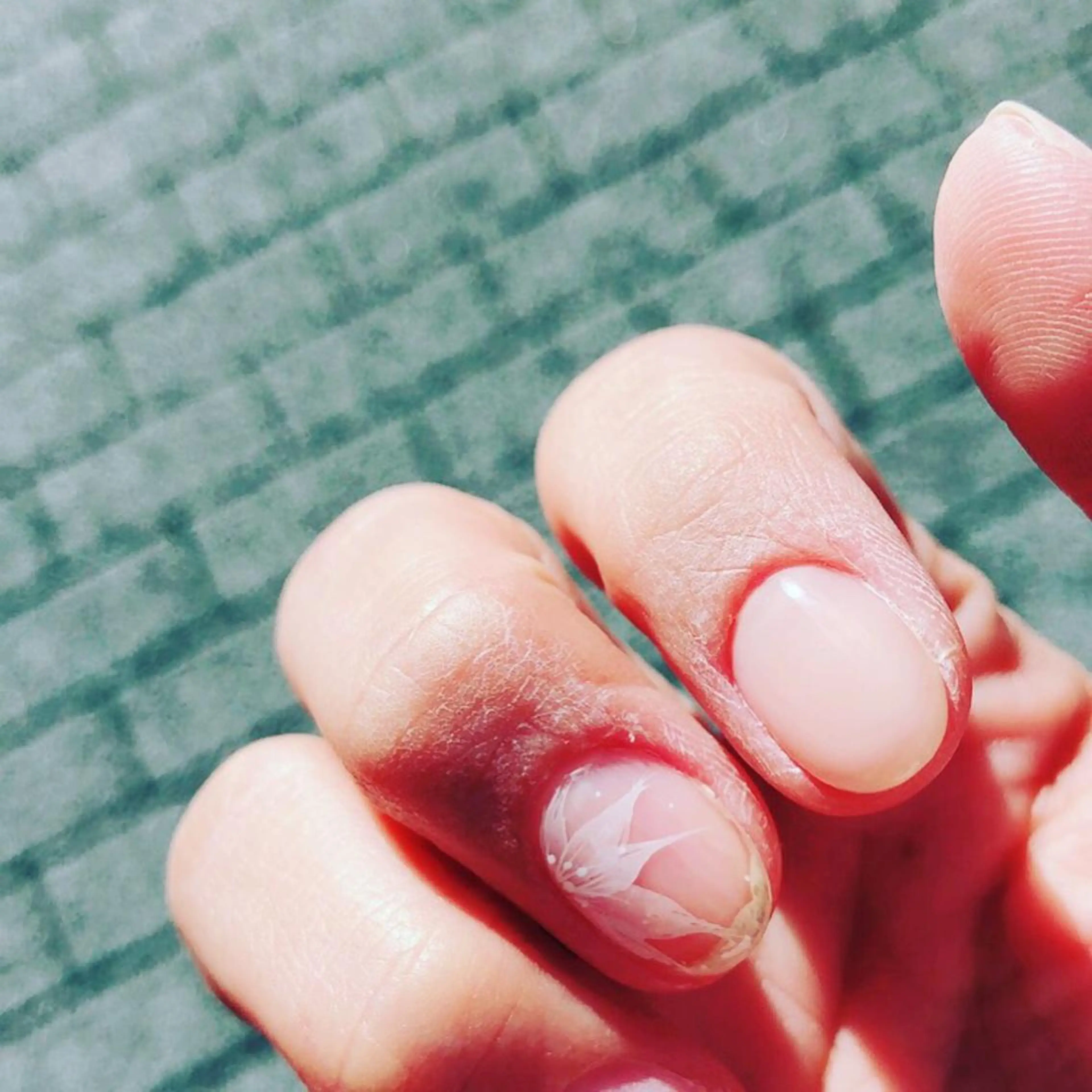 ネイル アートネイル シンプルネイル gui amichantoco所属・gui amichanのネイルデザイン