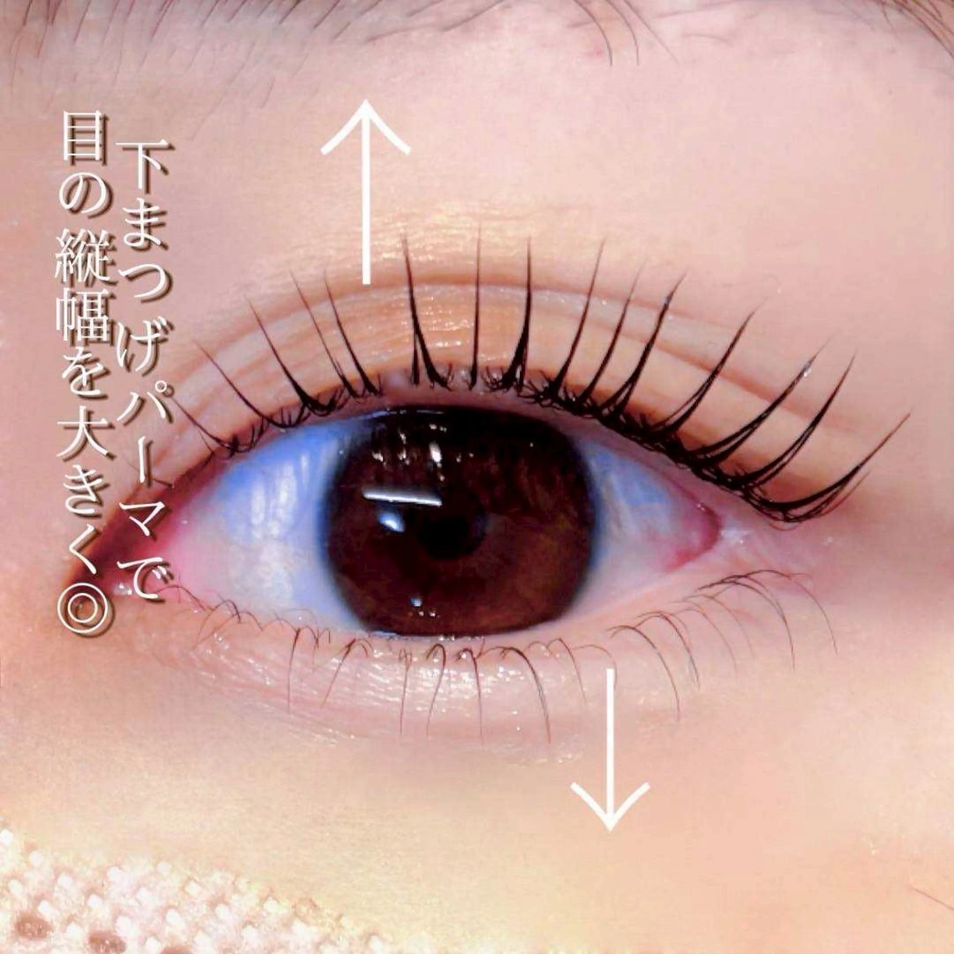 上下パーマの写真