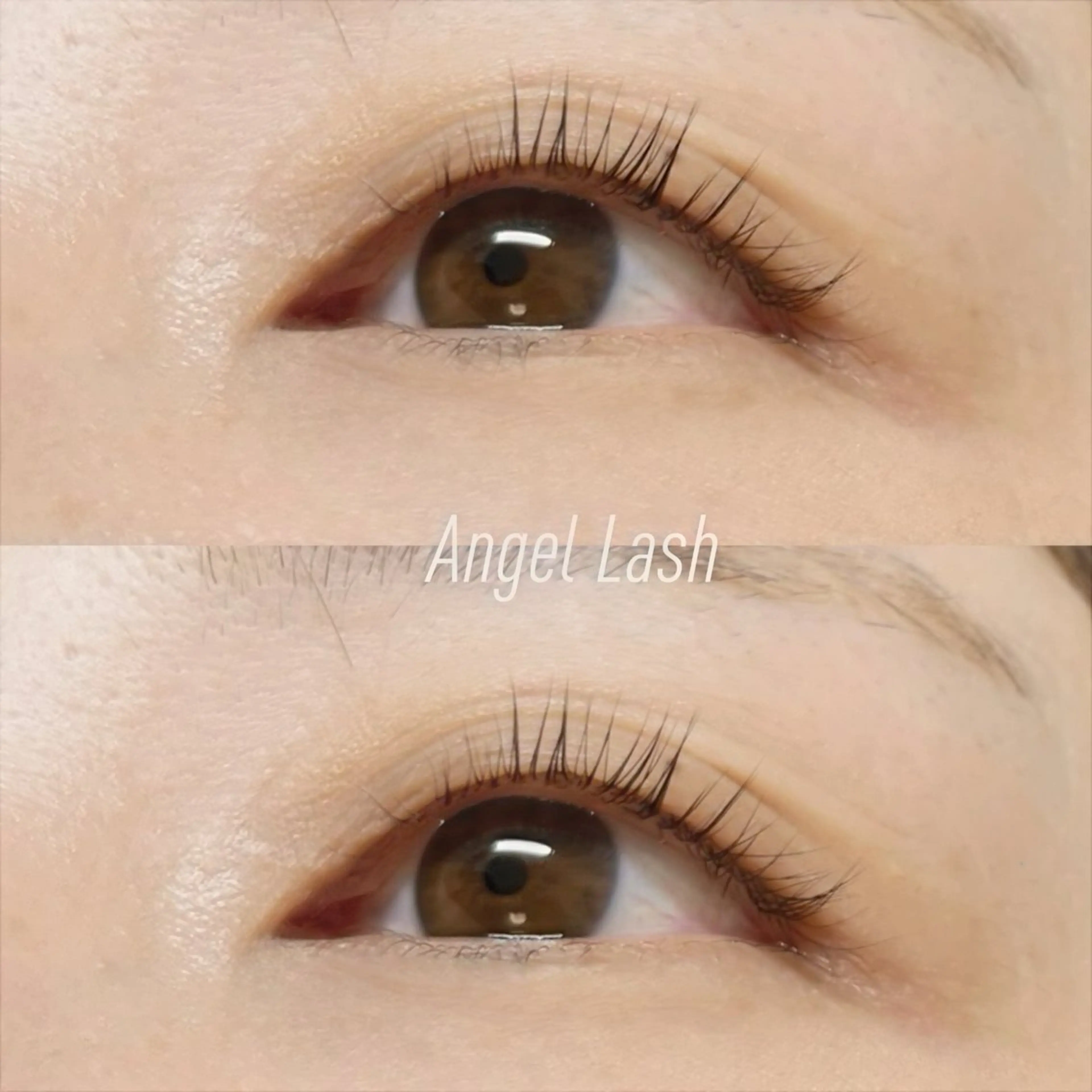 マツエク・マツパ パリジェンヌラッシュリフト AngleLash hayashiのマツエク・マツパデザイン