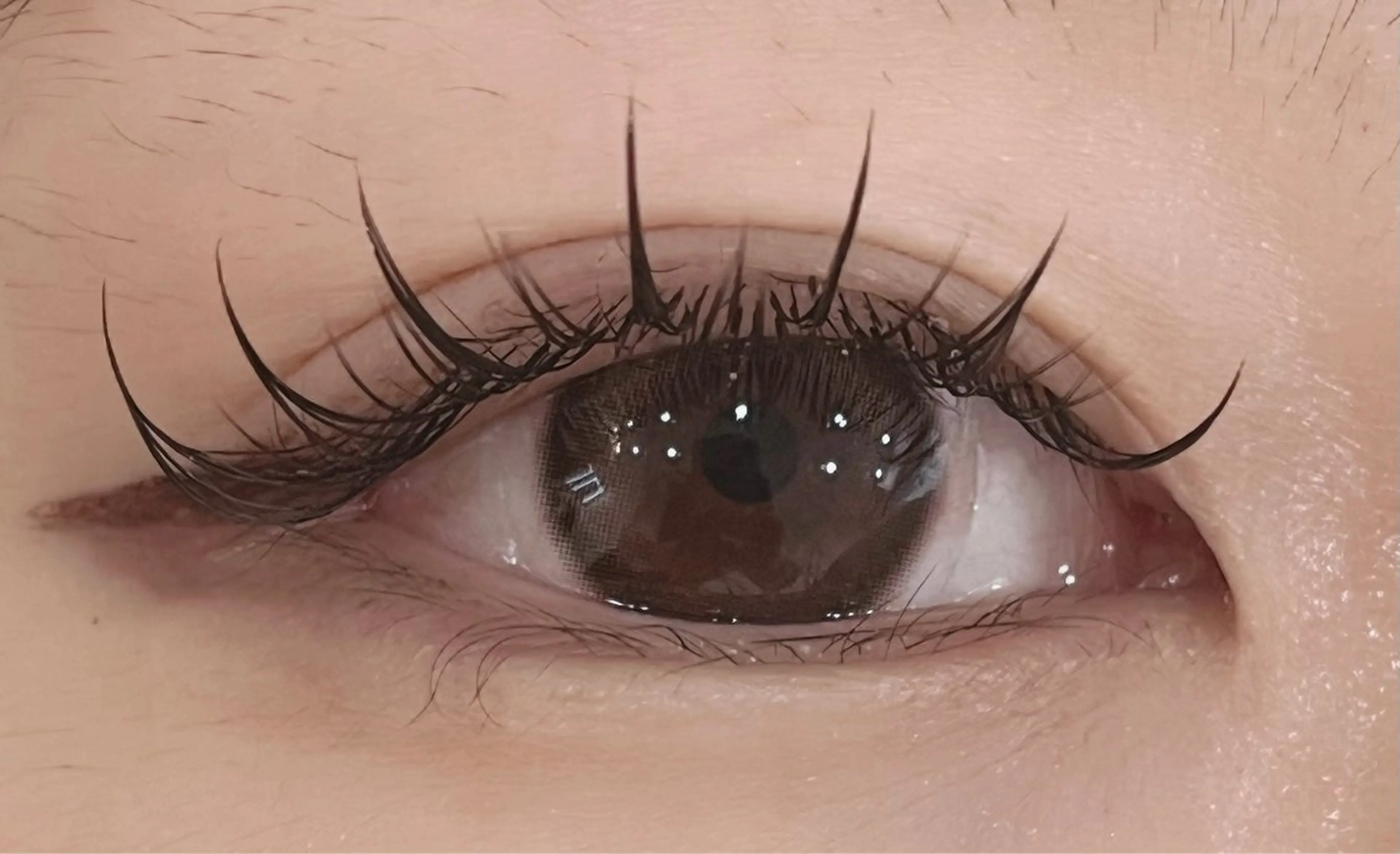 マツエク・マツパ フラットラッシュ ナチュラル ワンホンマツエク マツエク ルチア所属・ルチア💞 luciaのマツエク・マツパデザイン