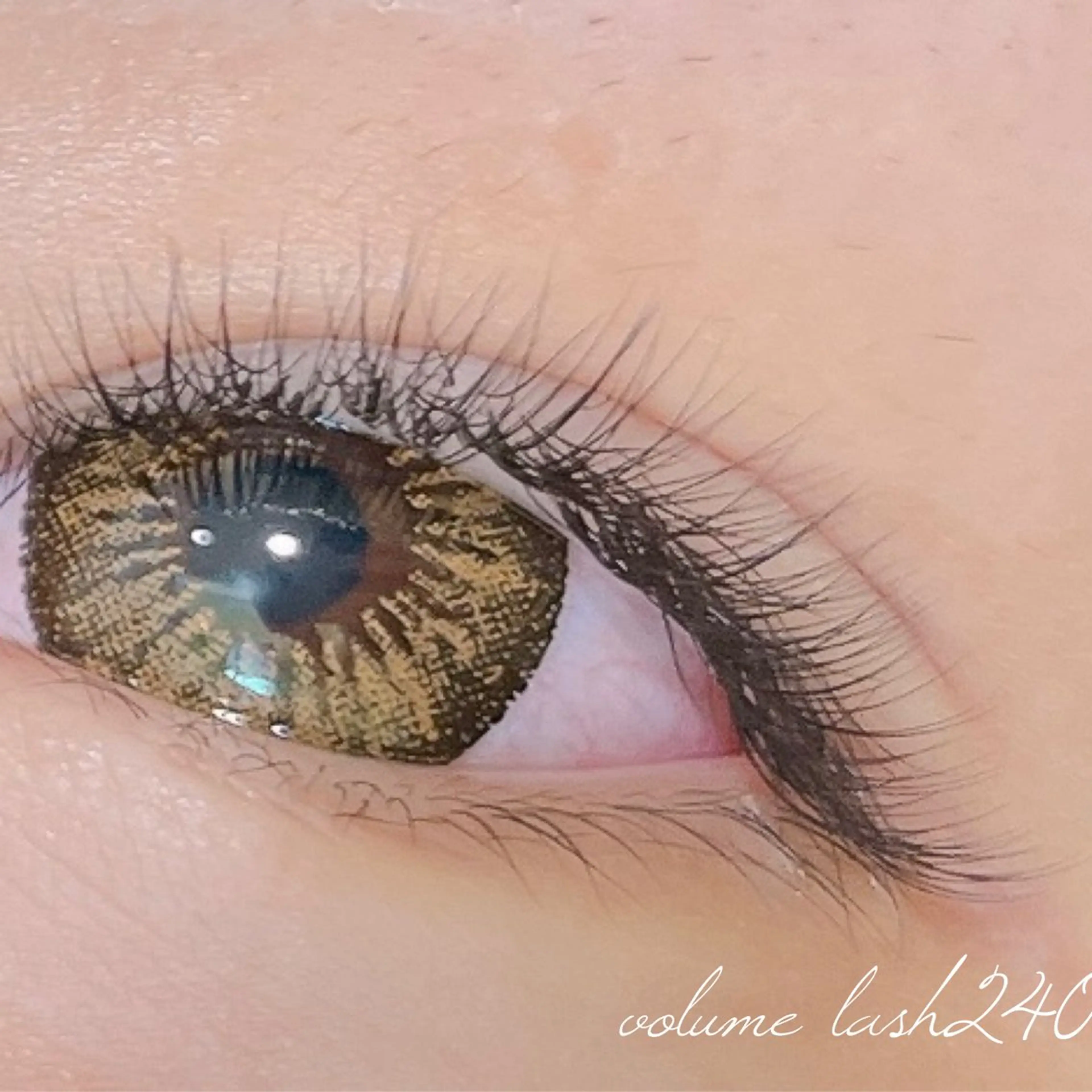 ボリュームラッシュ80束(トリートメント、コーティング込み)の写真