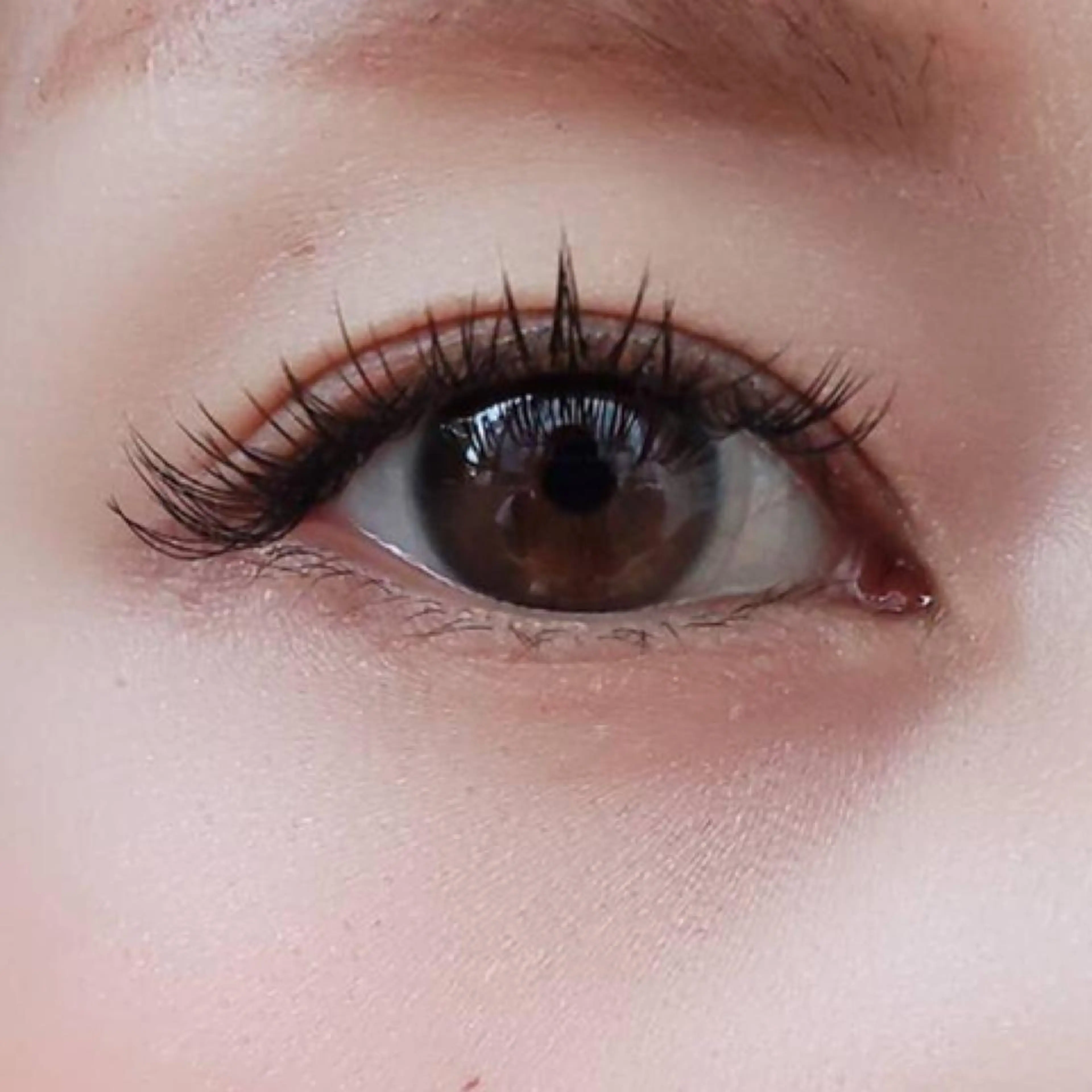 【持続性】束感くっきり!Wフラットラッシュ80束✨160本✨の写真