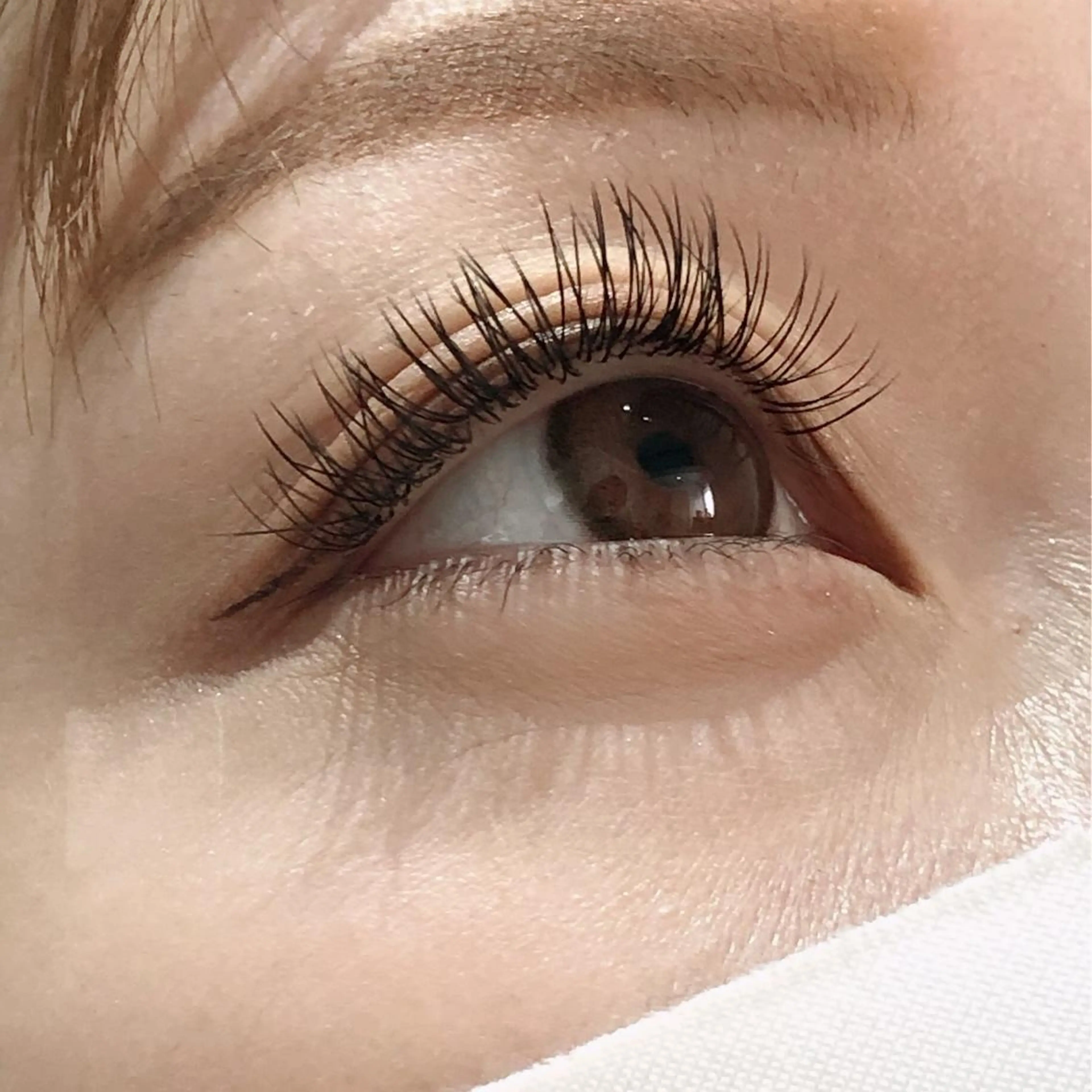 マツエク・マツパ フラットラッシュ eyenail m 白瀬のマツエク・マツパデザイン