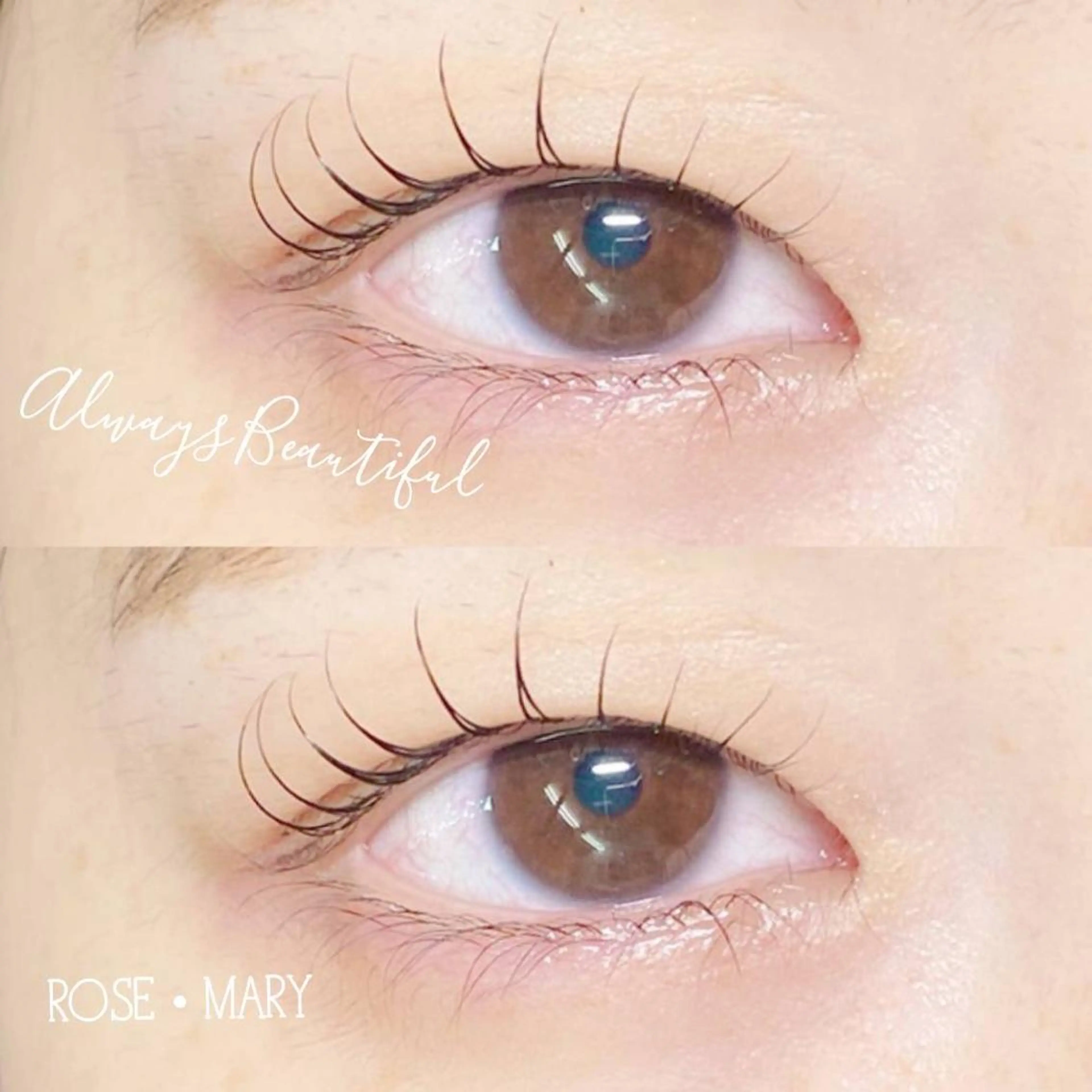 マツエク・マツパ Cカール マツパ ROSE MARY 大竹のマツエク・マツパデザイン