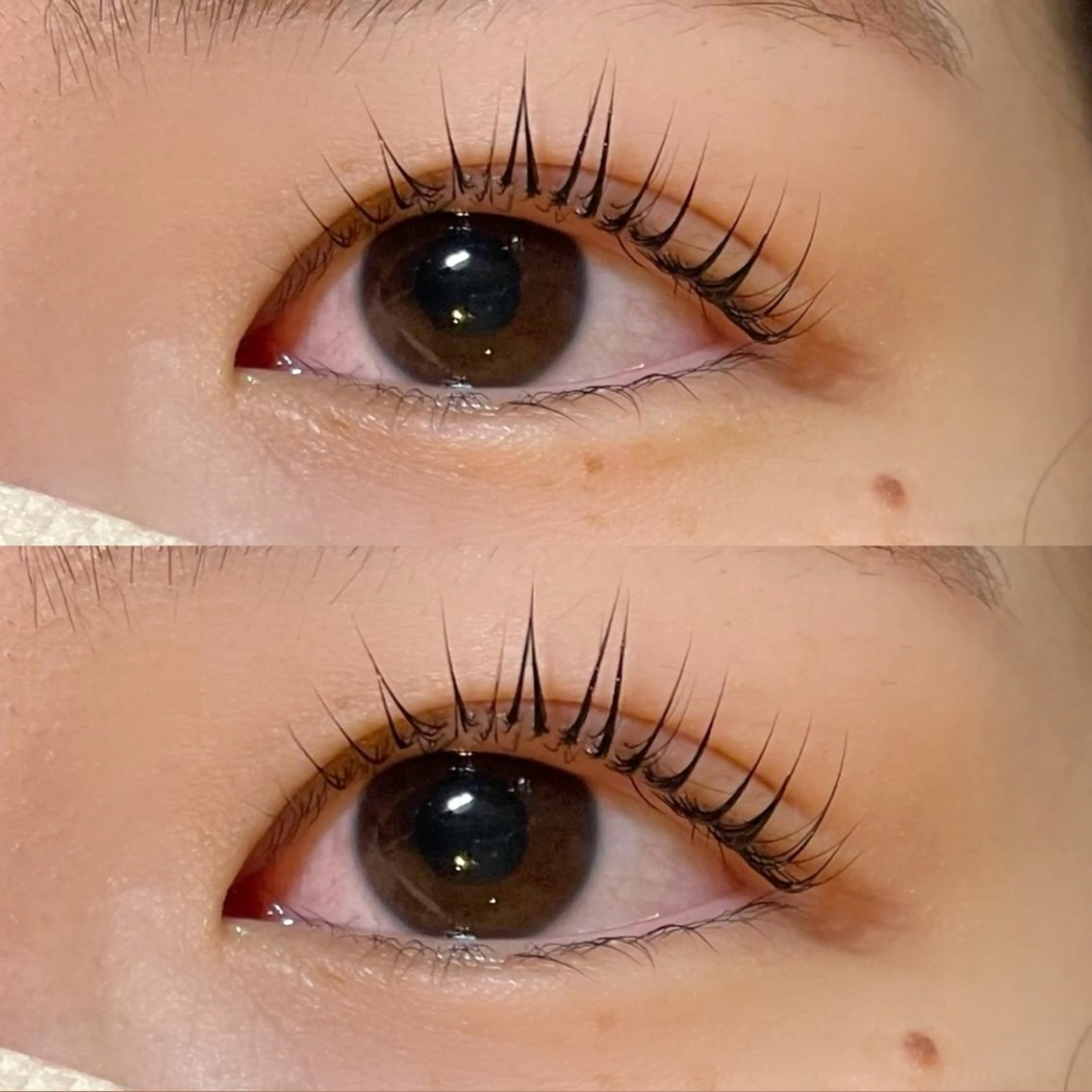 マツエク・マツパ パリジェンヌラッシュリフト scarlet asahiのマツエク・マツパデザイン