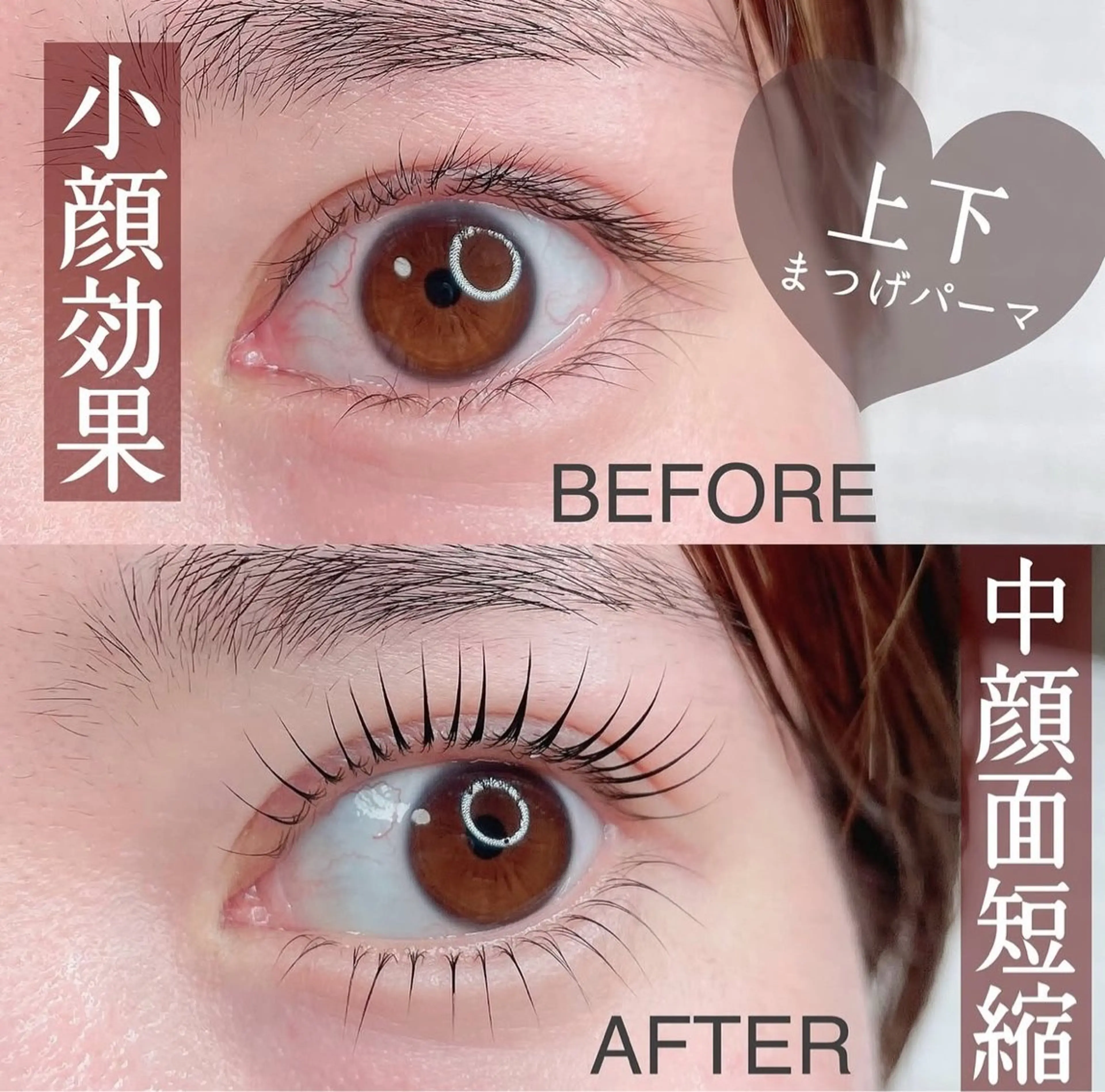 【NEWOpen🤍上下】パリジェンヌラッシュリフト美容液付きの写真