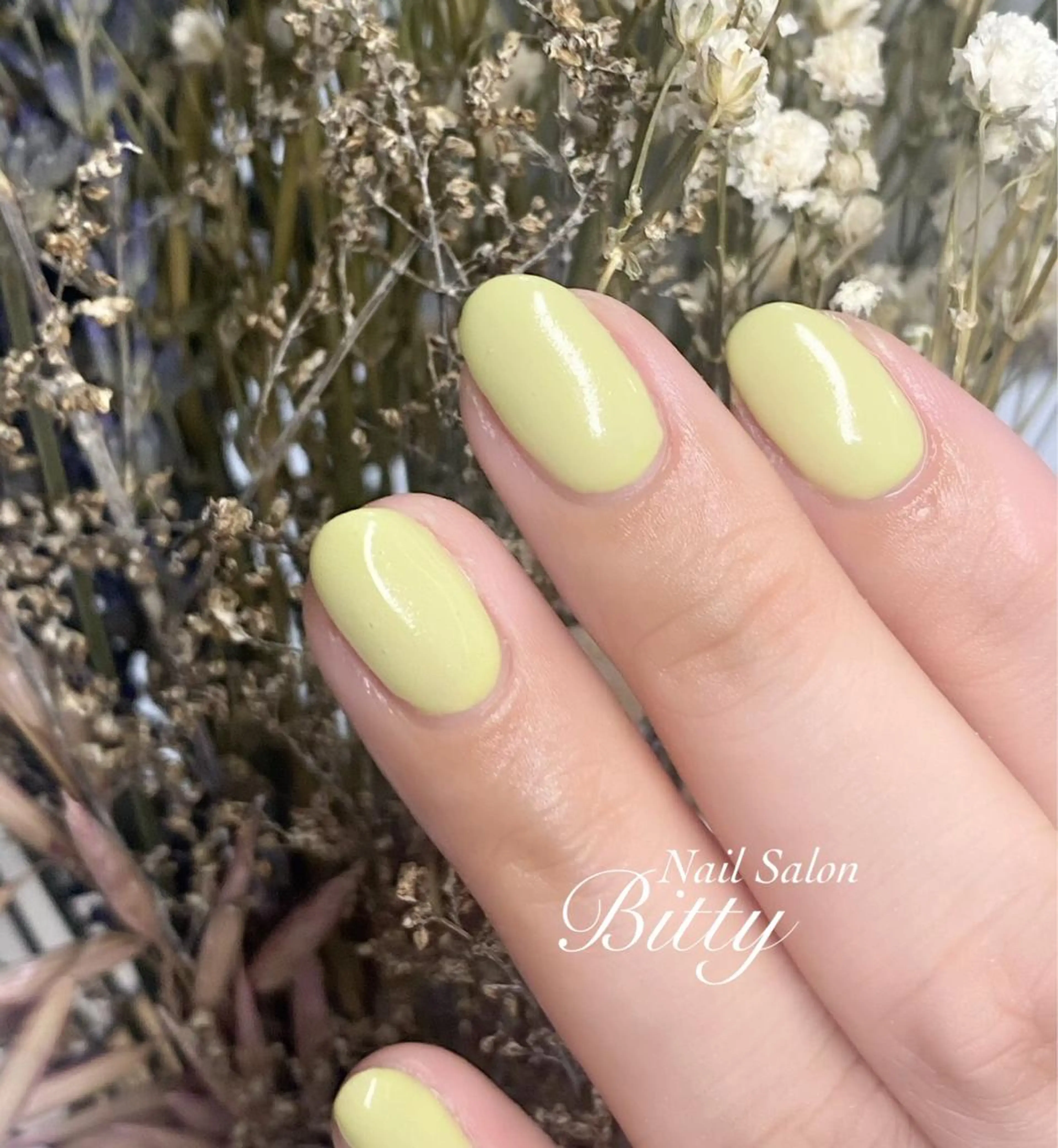 ネイル ジェルネイル ワンカラーネイル Bitty yurine🎀のネイルデザイン